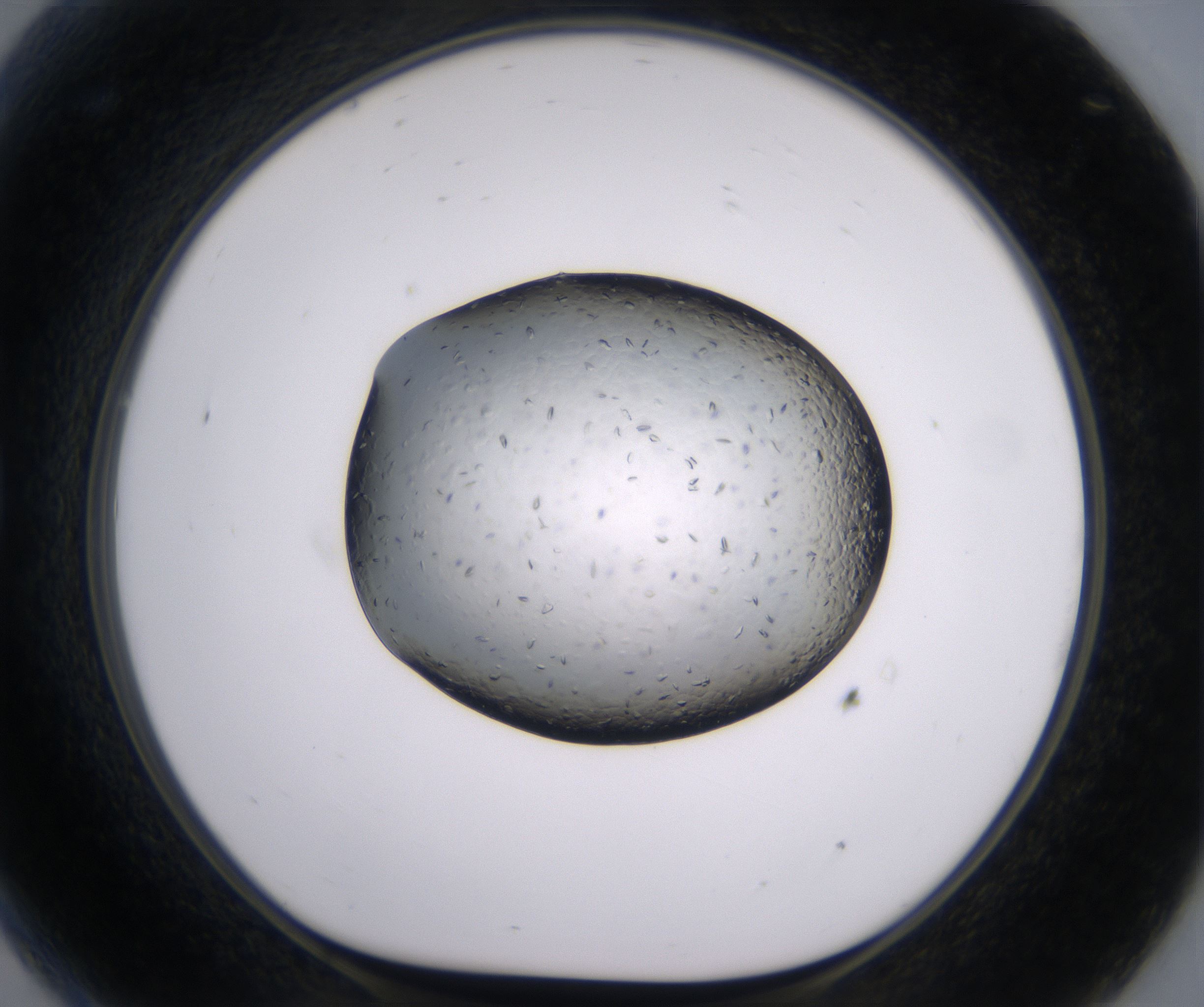 G9_HighResolution_Crystal_1.jpg