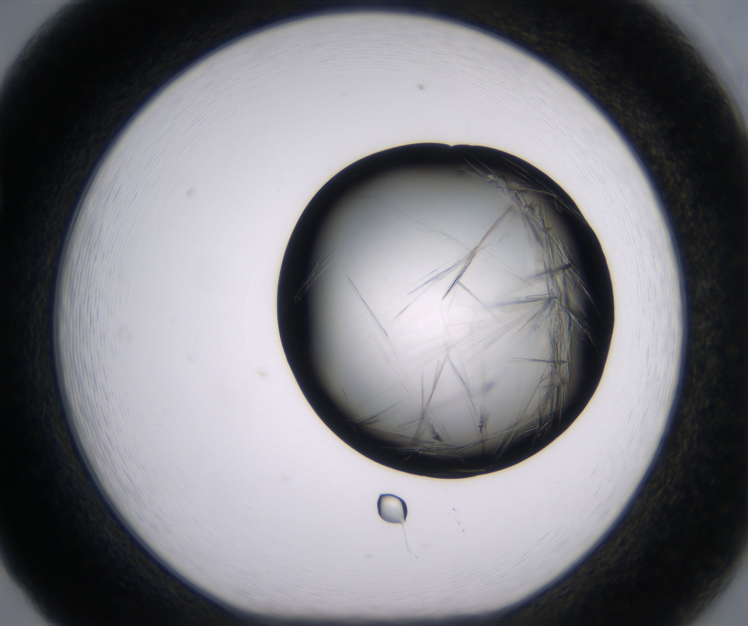 F5_HighResolution_Crystal_1.jpg