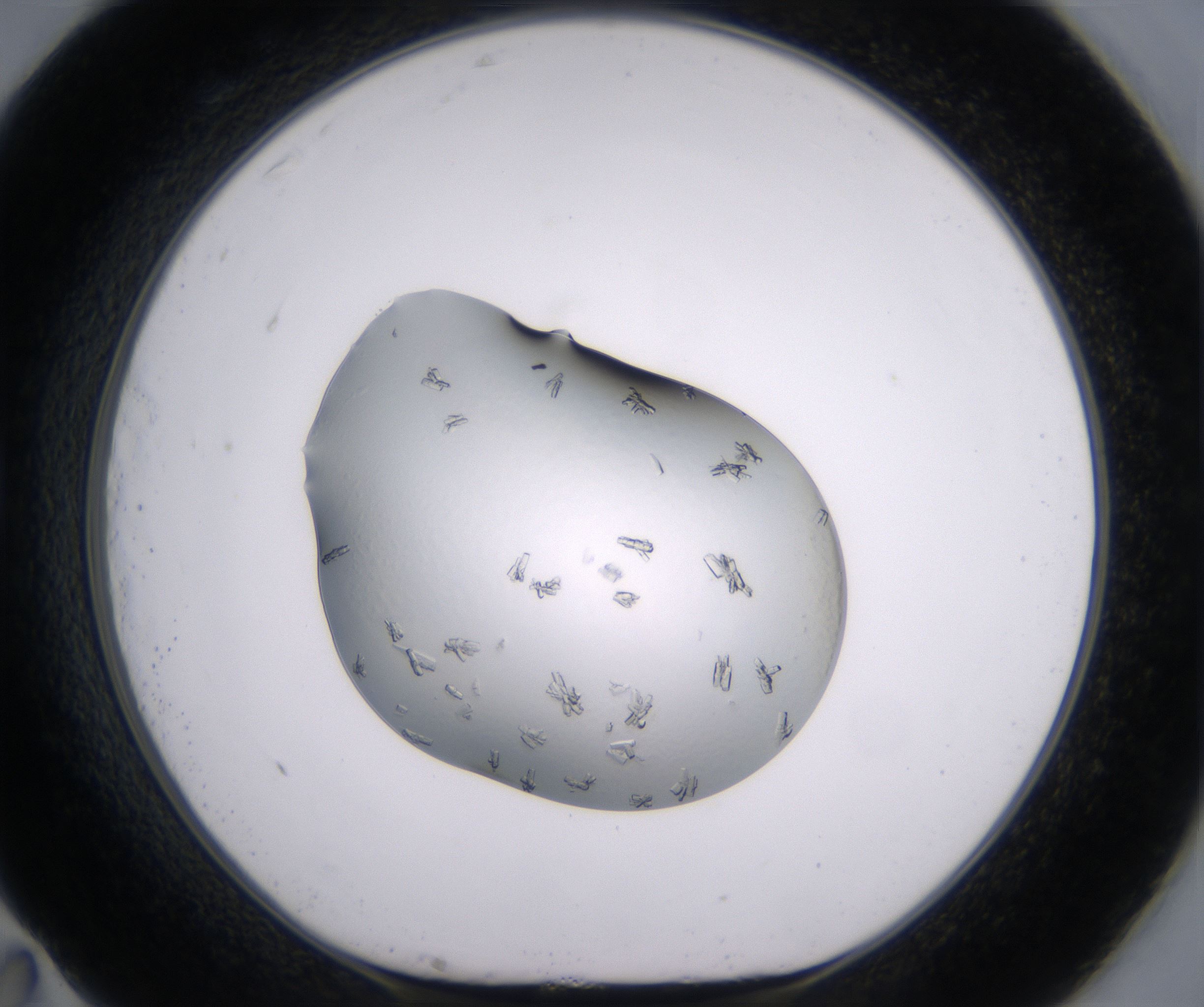 G11_HighResolution_Crystal_1.jpg