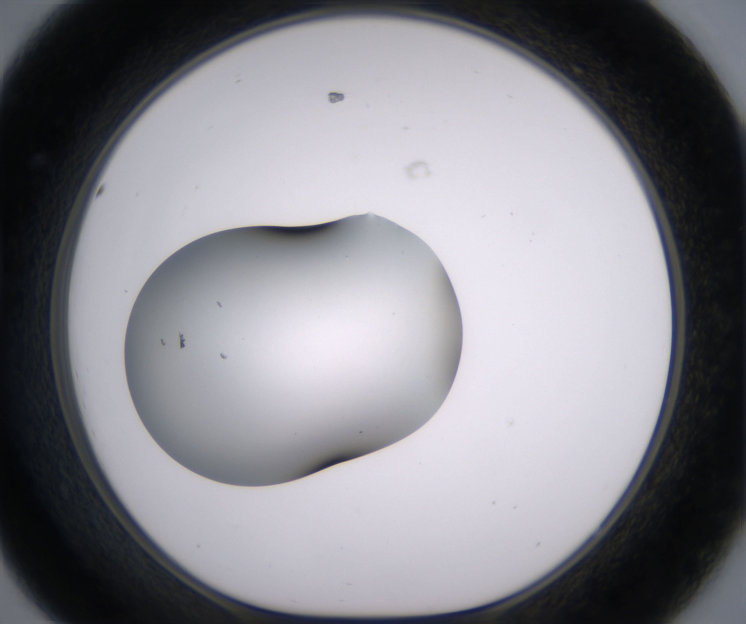 D8_HighResolution_Clear_1.jpg