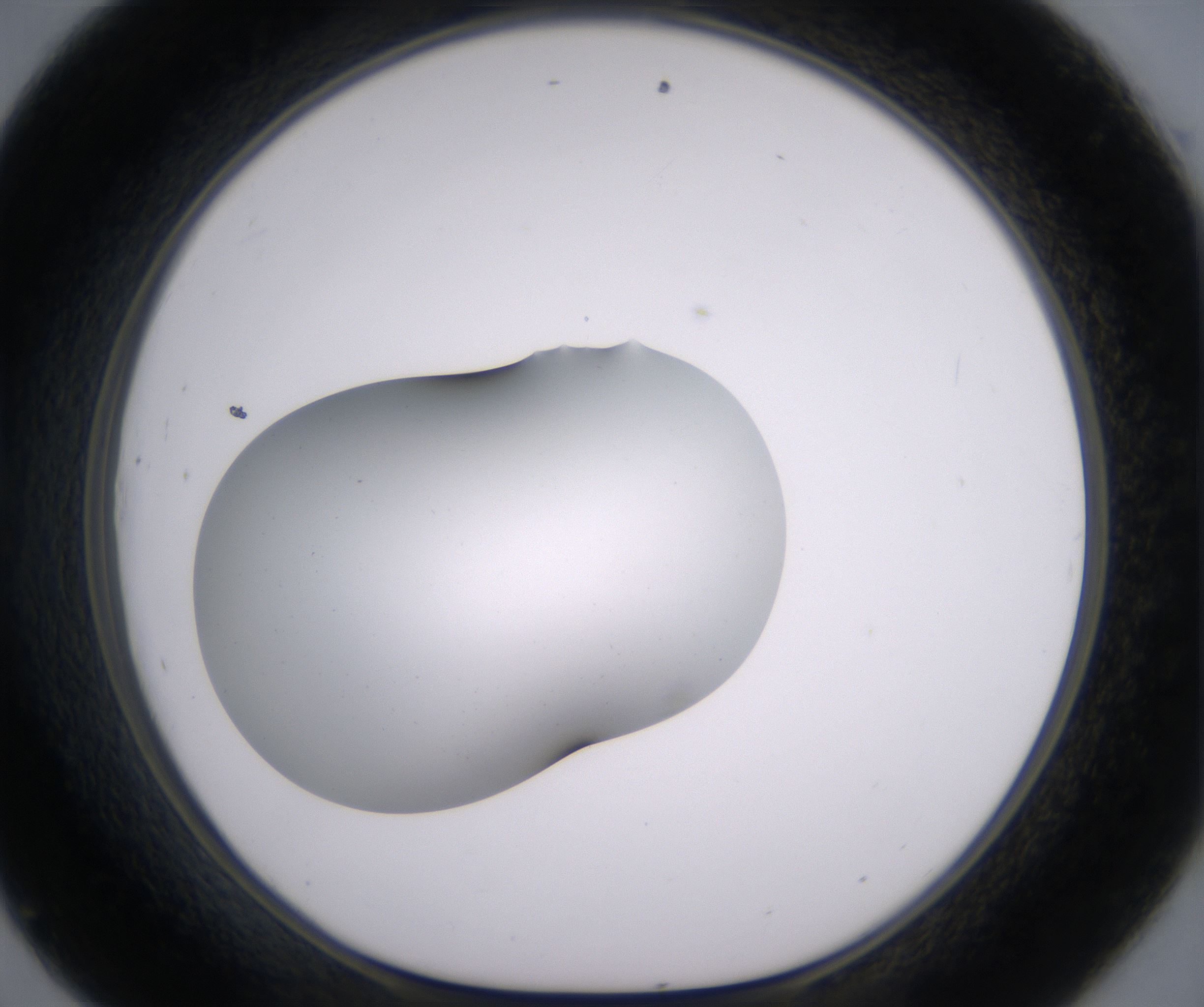 D9_HighResolution_Clear_1.jpg