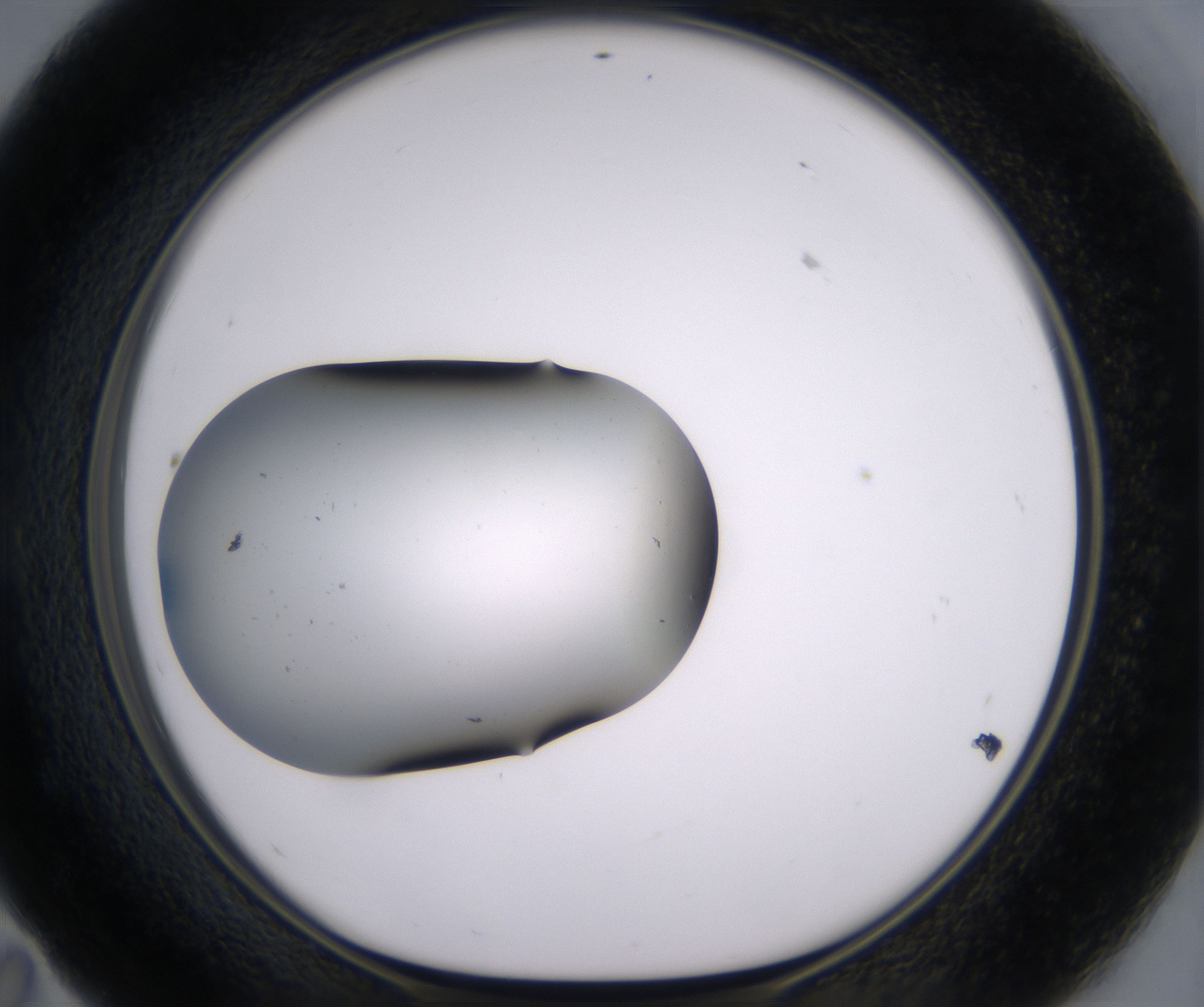 E11_HighResolution_Clear_1.jpg