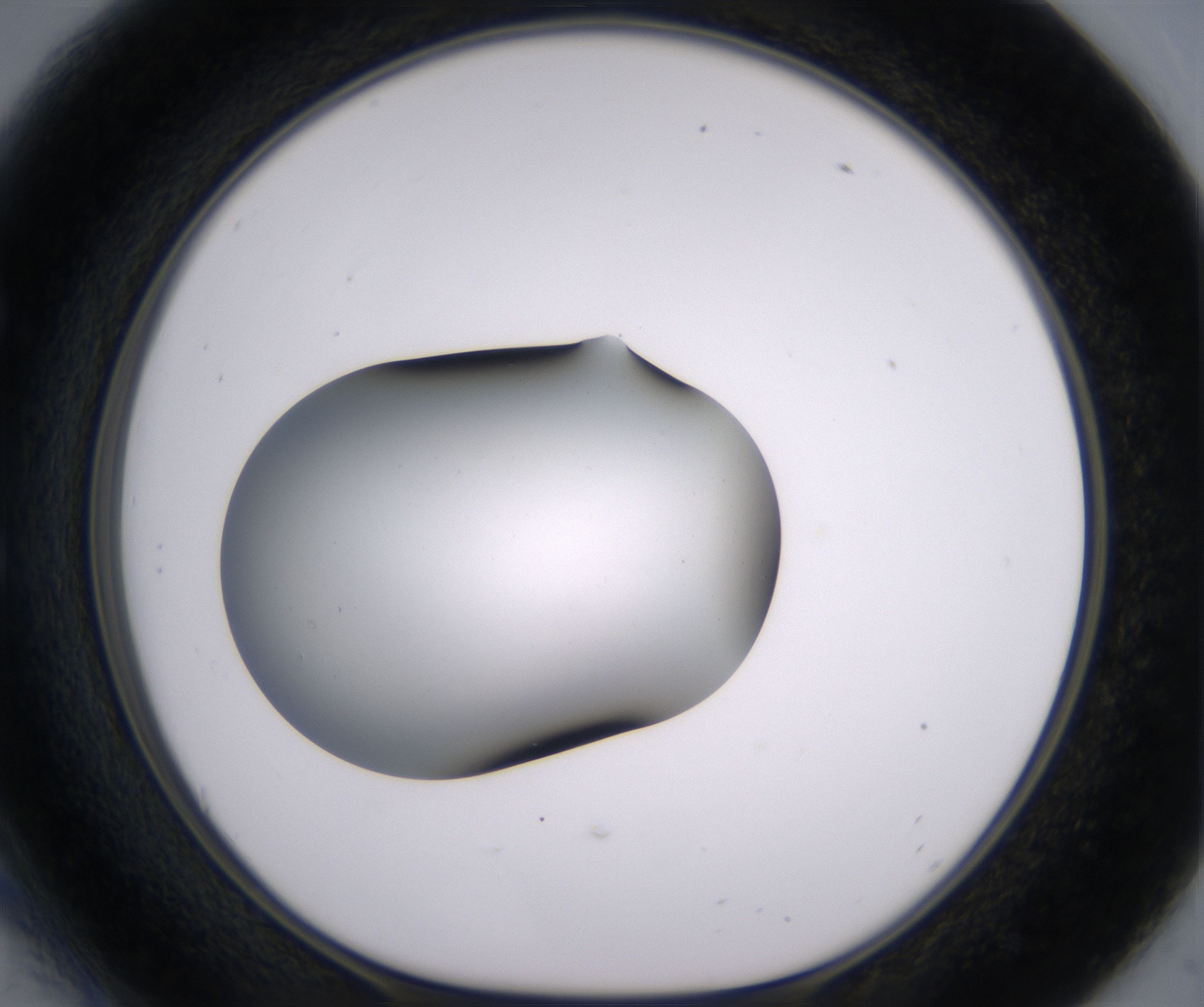 E6_HighResolution_Clear_1.jpg