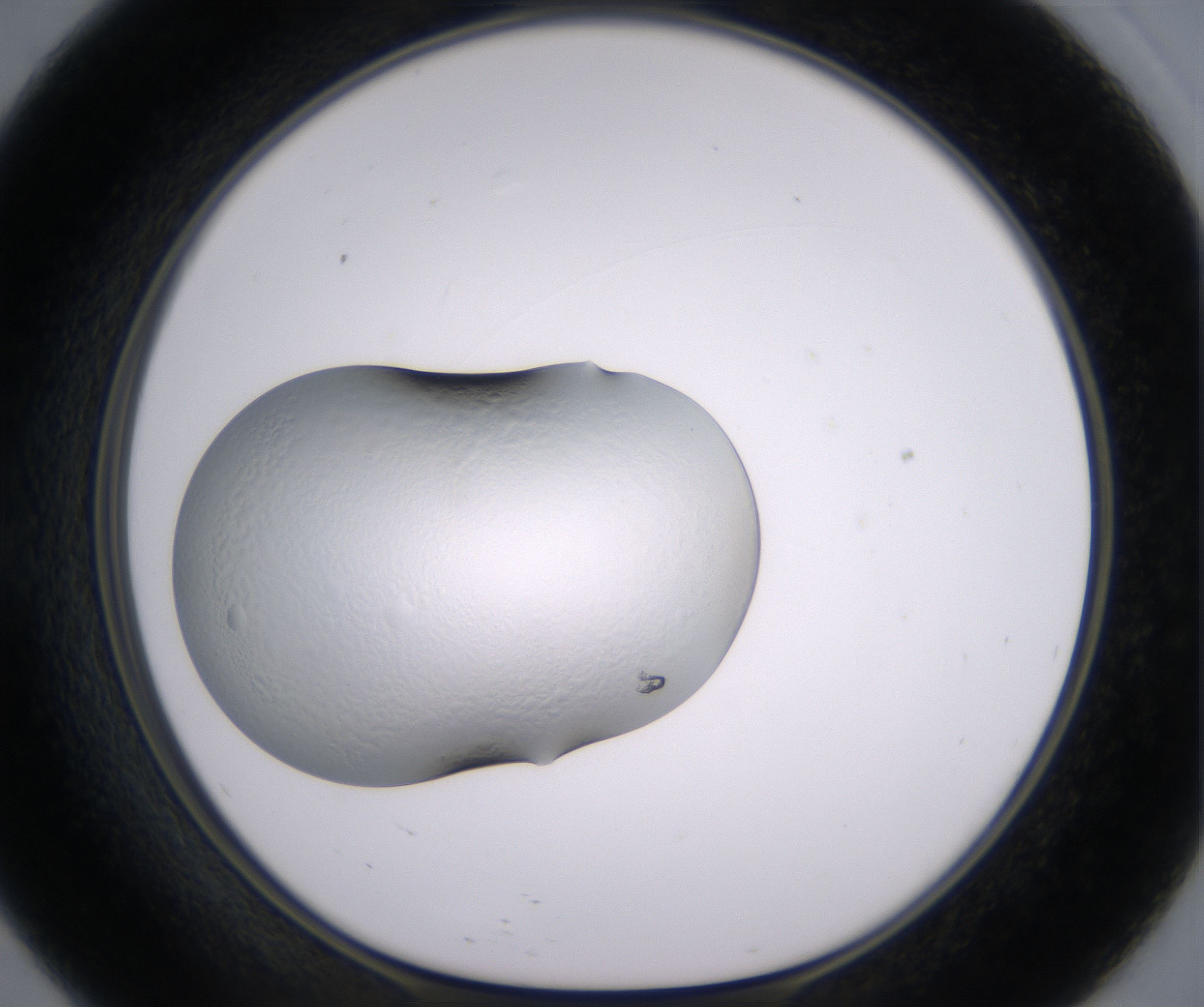 E9_HighResolution_Clear_1.jpg