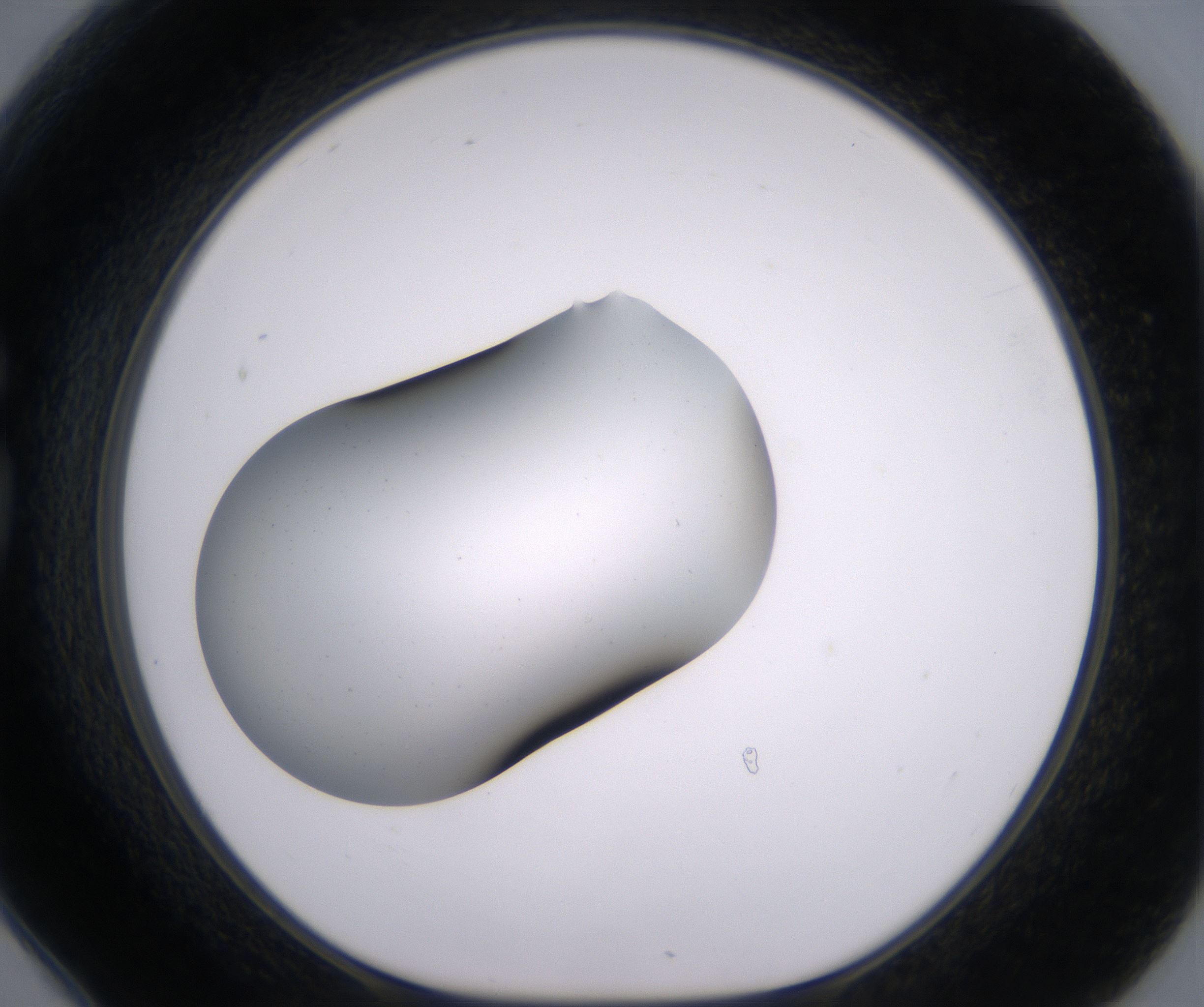 G6_HighResolution_Clear_1.jpg