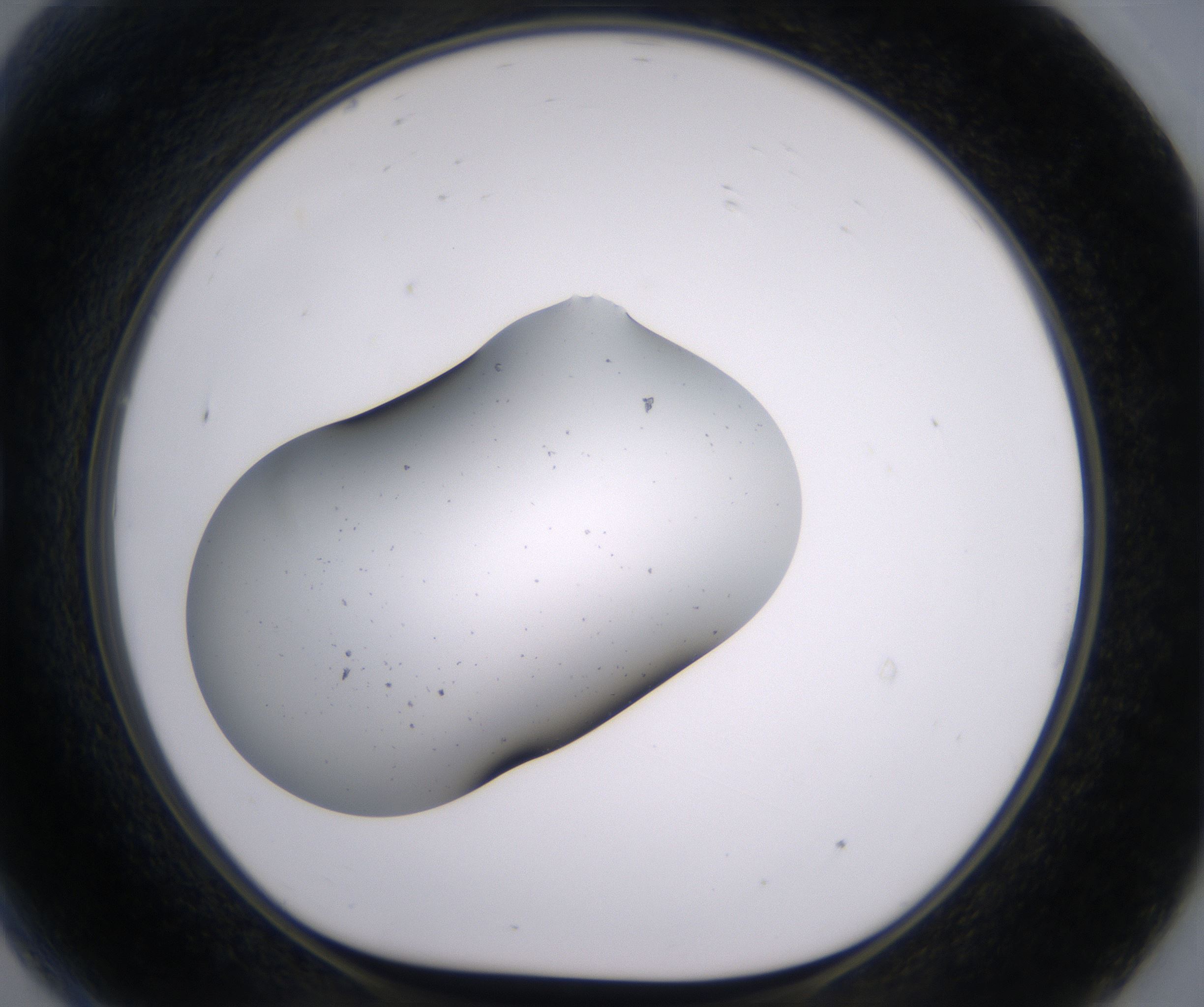 G9_HighResolution_Clear_1.jpg