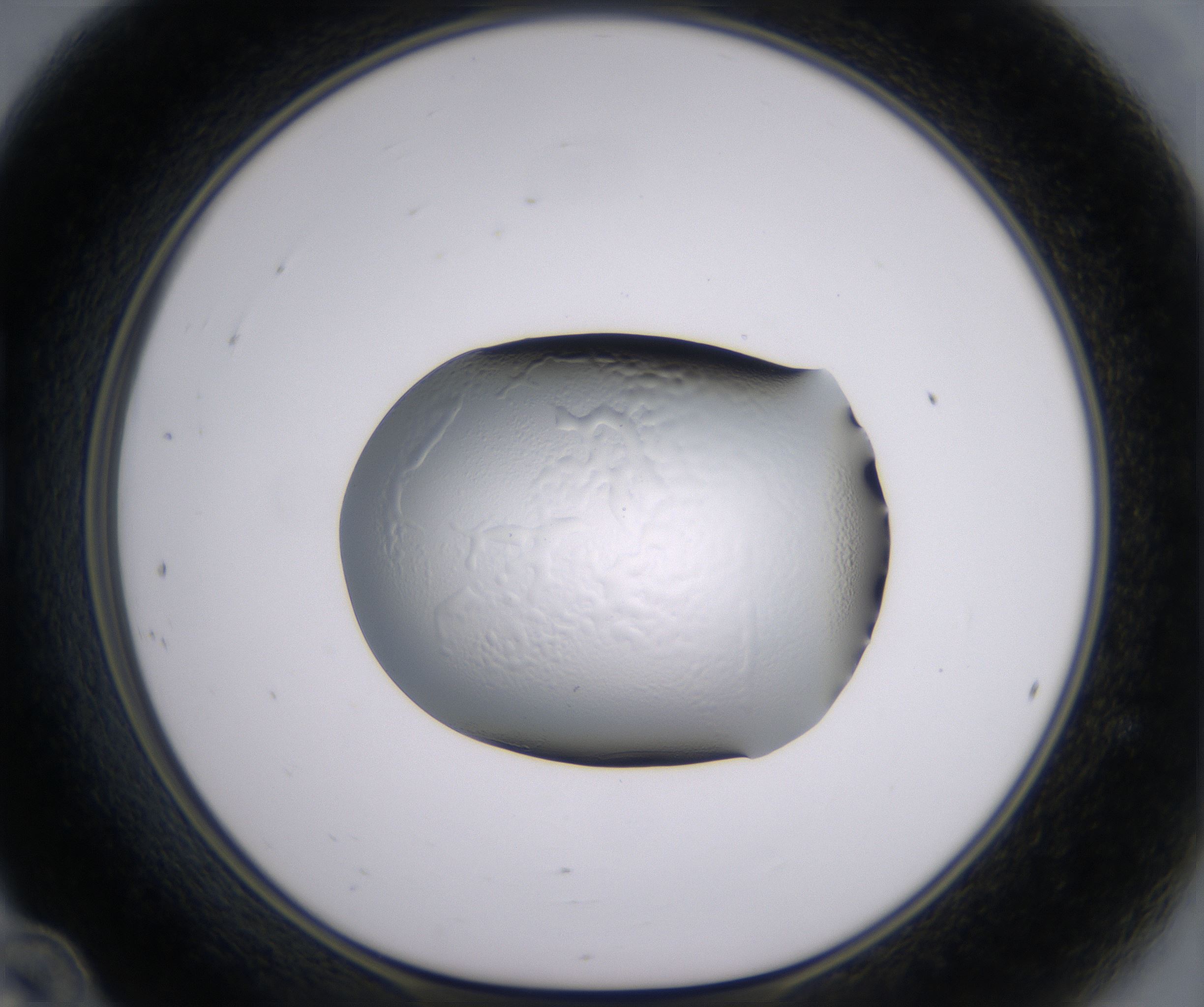 B12_HighResolution_Clear_1.jpg
