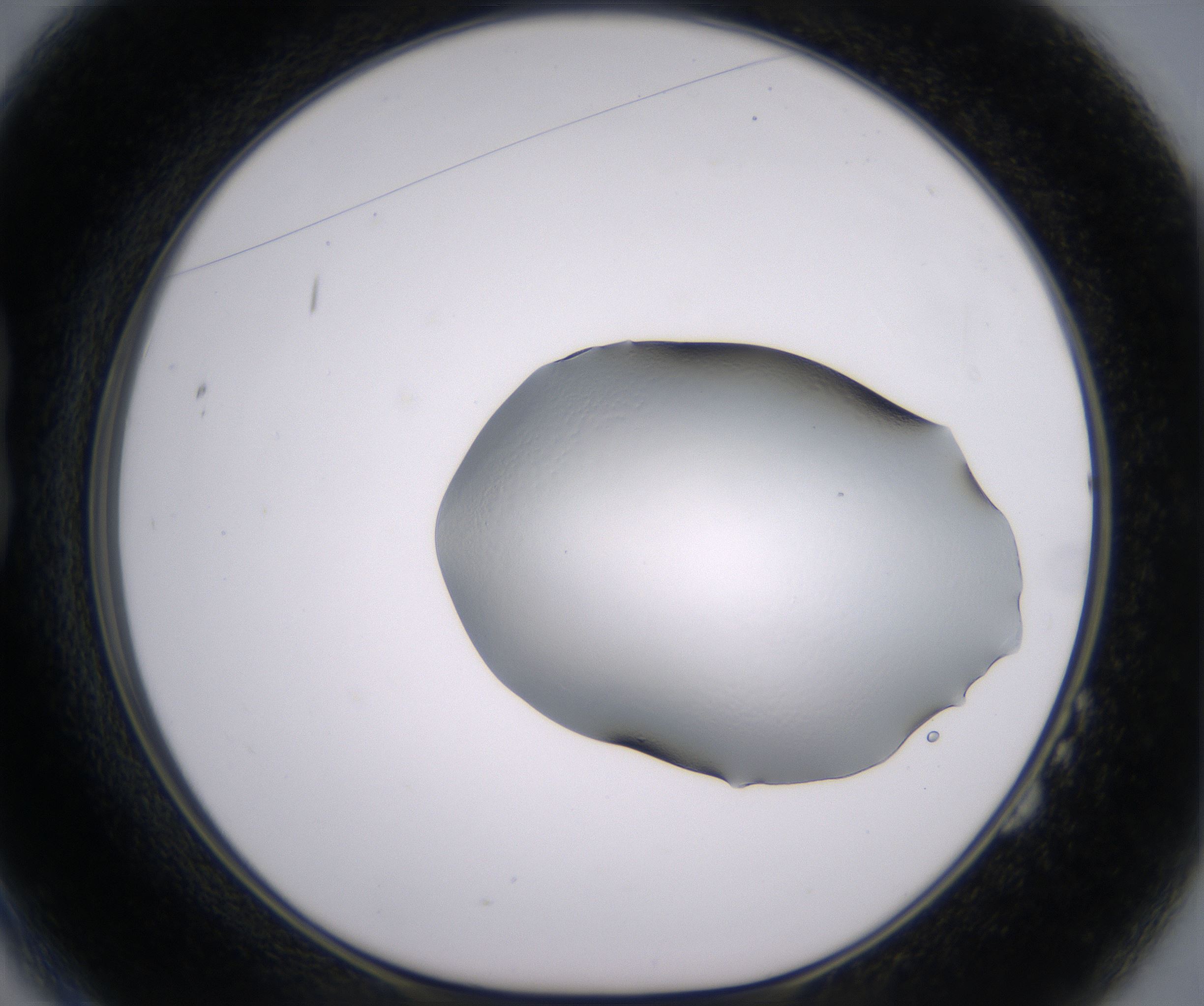 B2_HighResolution_Clear_1.jpg