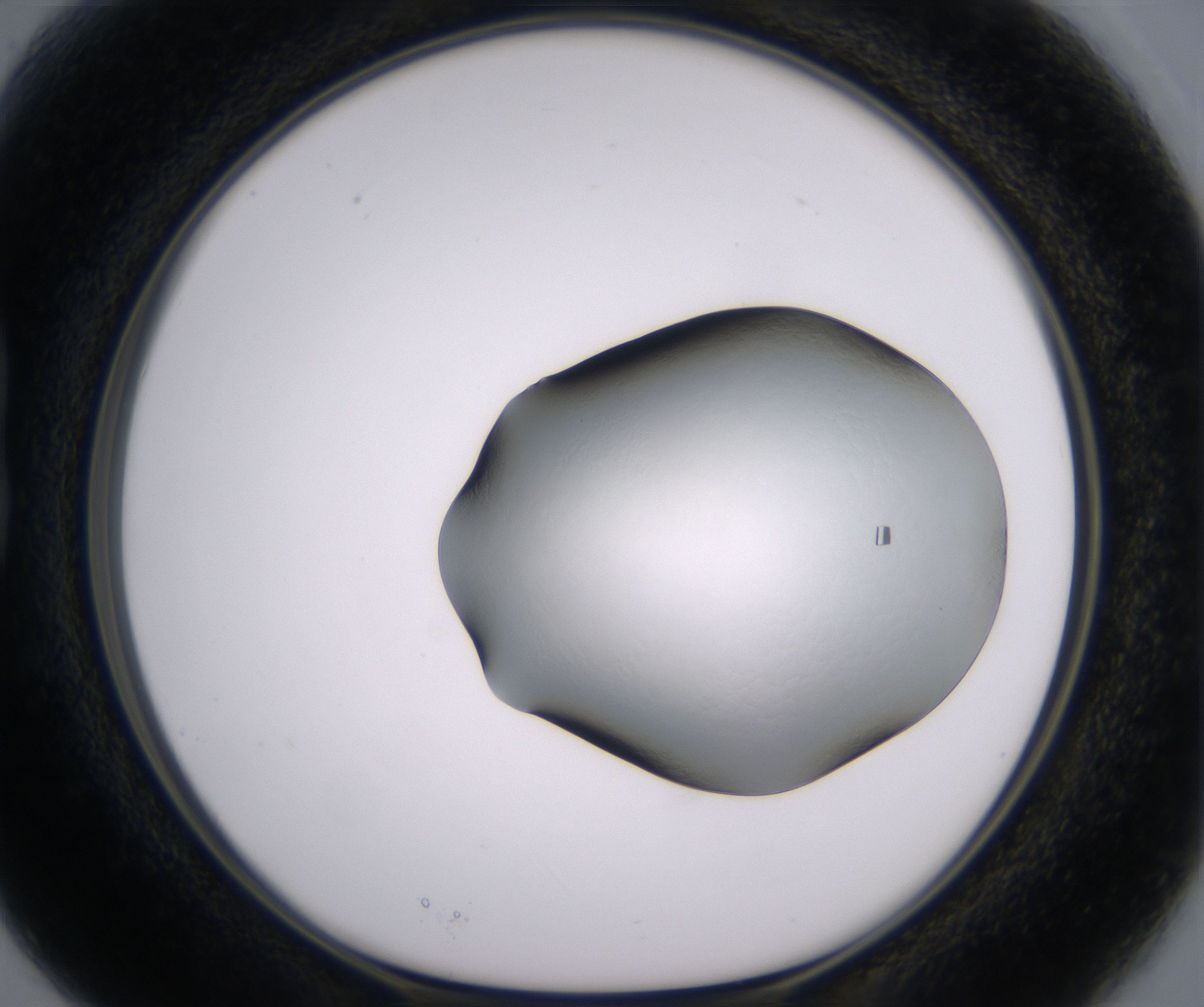 B3_HighResolution_Clear_1.jpg