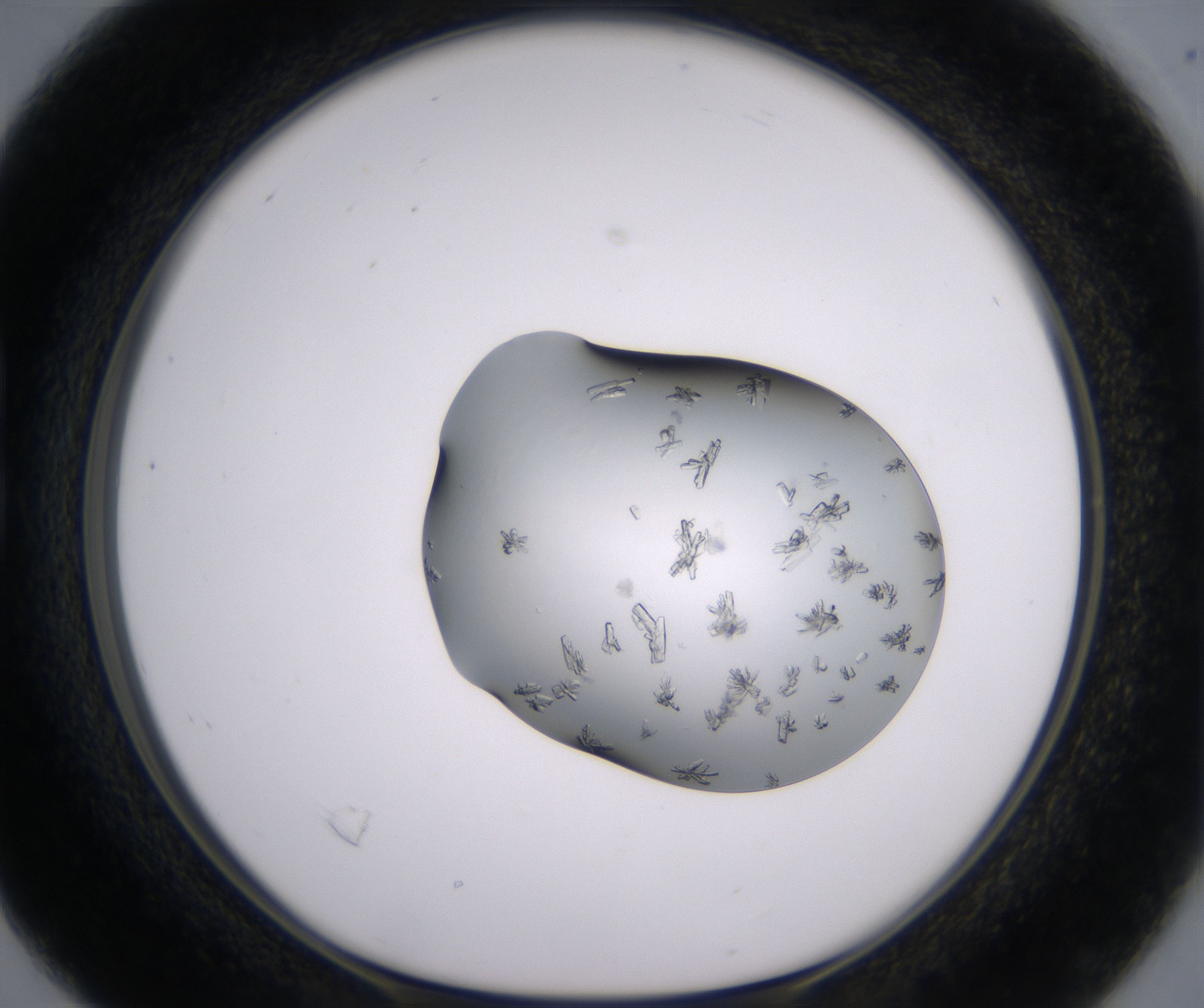 B4_HighResolution_Crystal_1.jpg