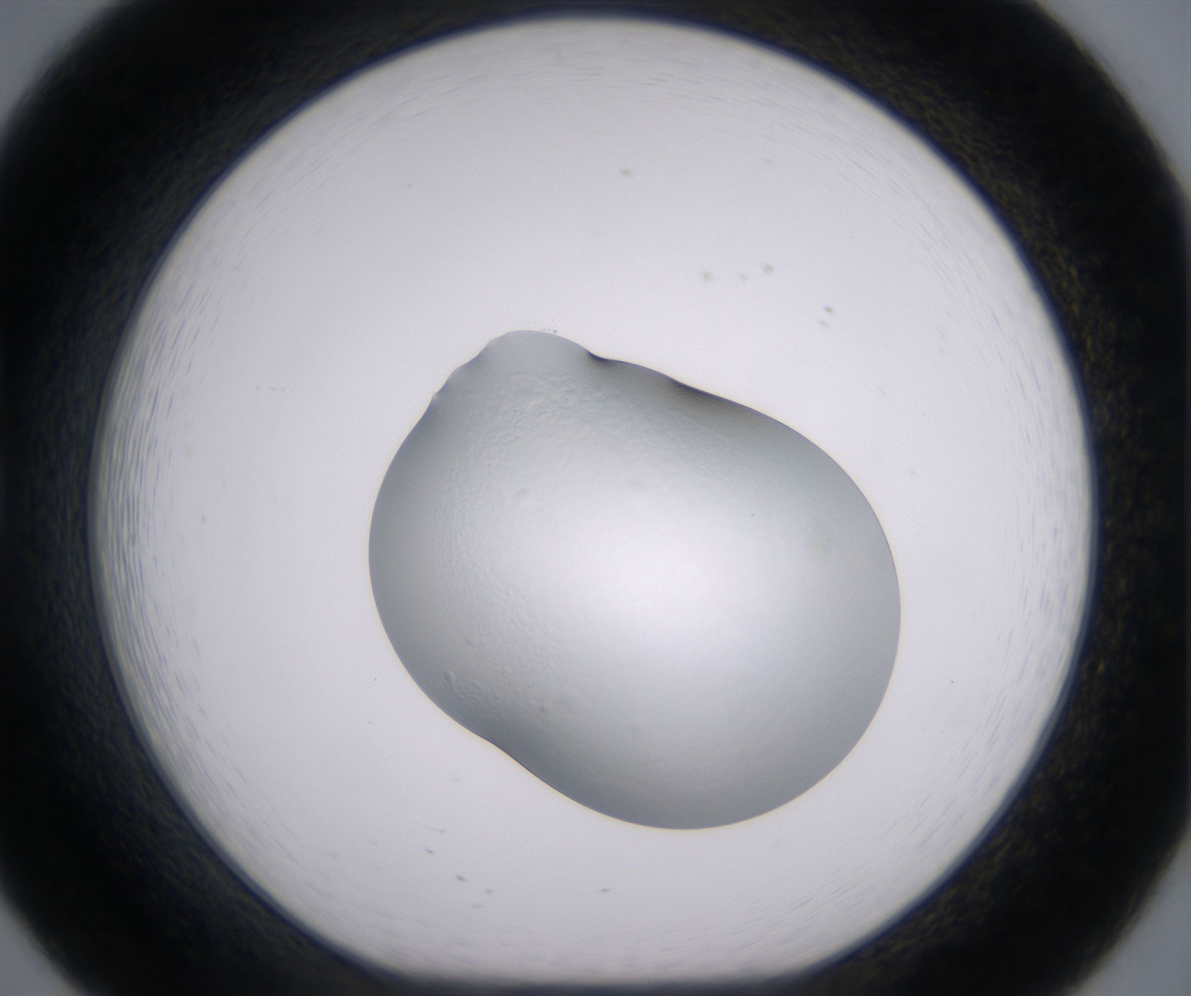 B8_HighResolution_Clear_1.jpg