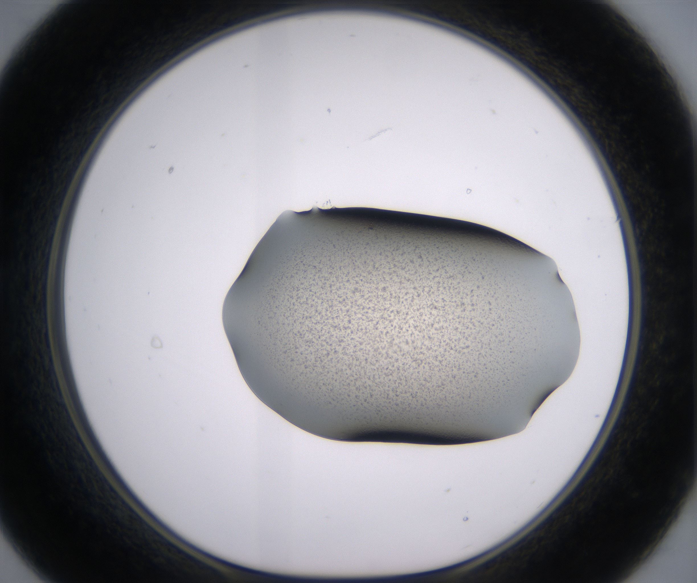 B9_HighResolution_Precipitate_1.jpg