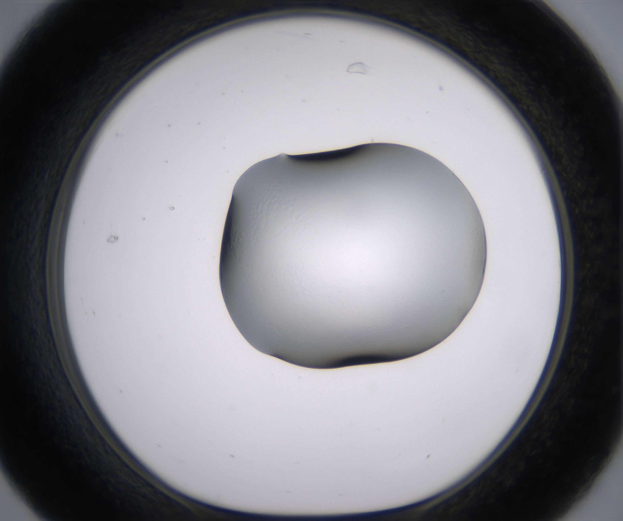 C7_HighResolution_Clear_1.jpg