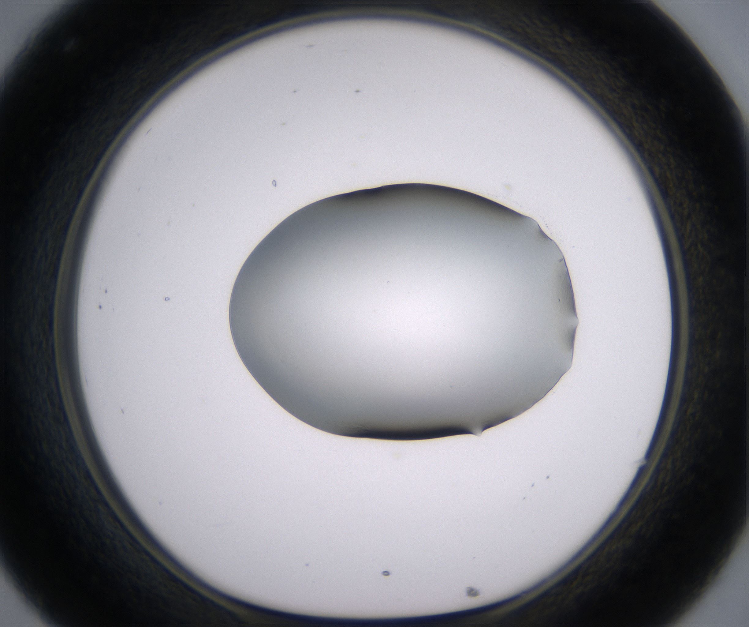 C8_HighResolution_Clear_1.jpg