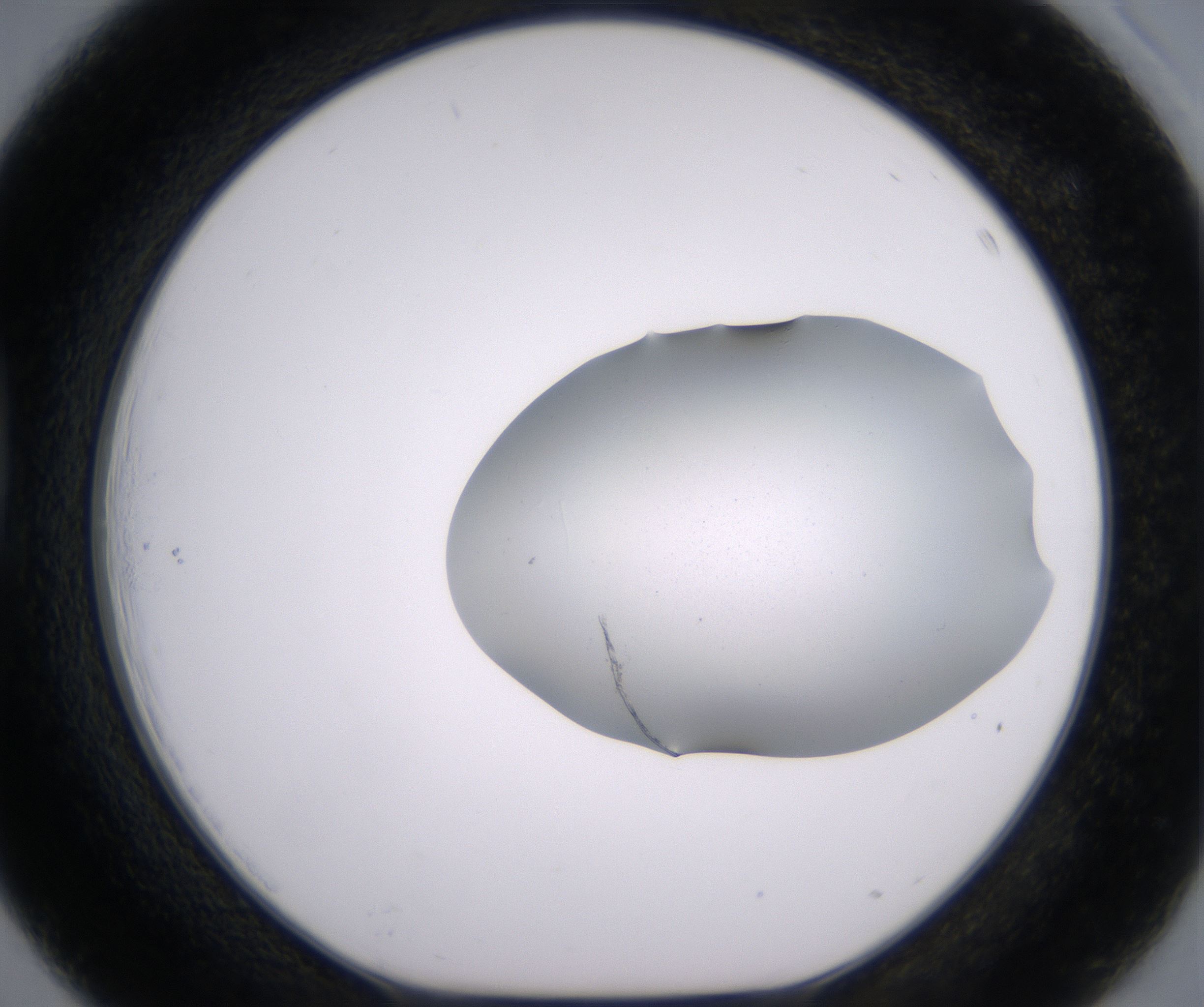 D3_HighResolution_Clear_1.jpg