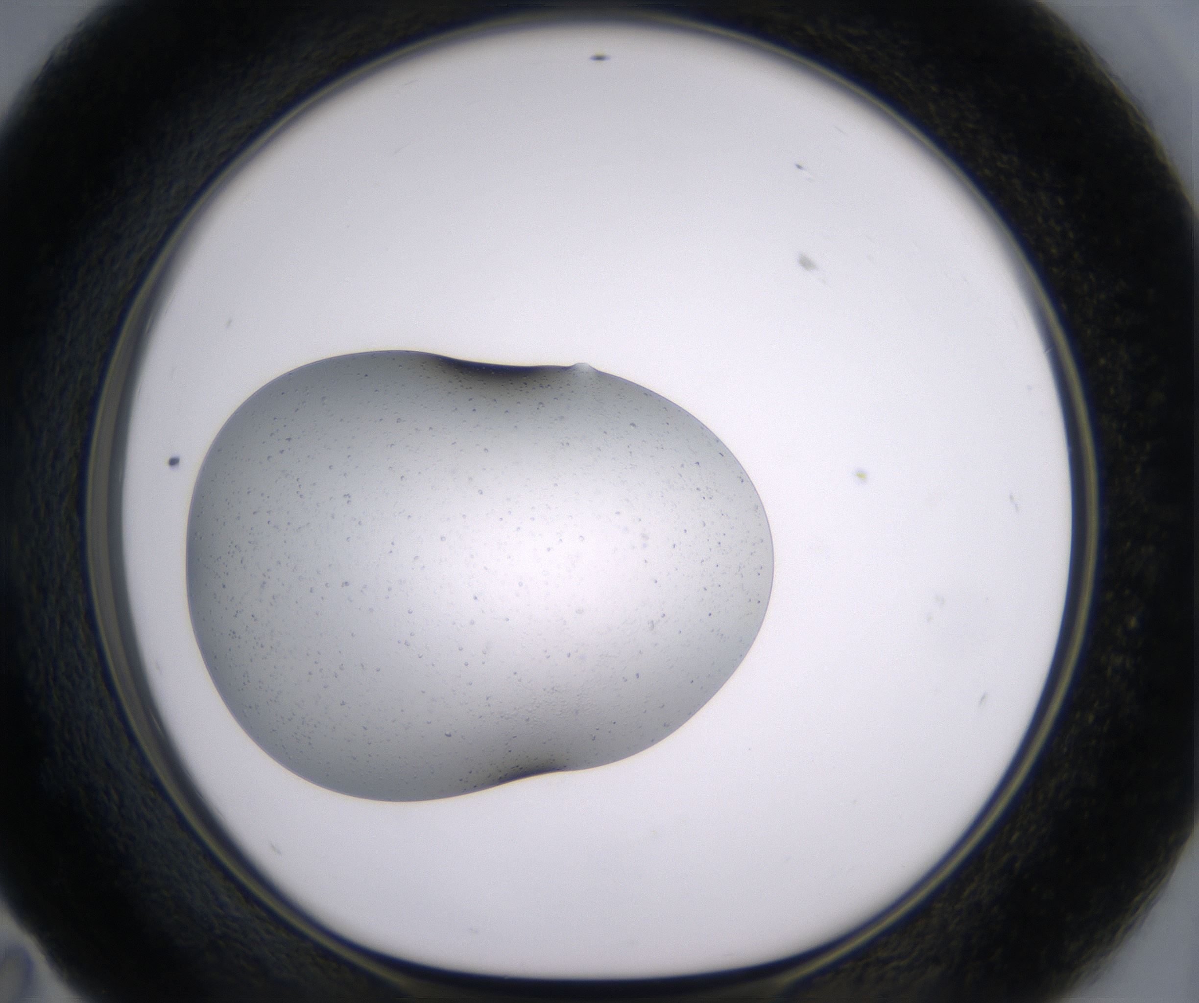 E11_HighResolution_Crystal_1.jpg