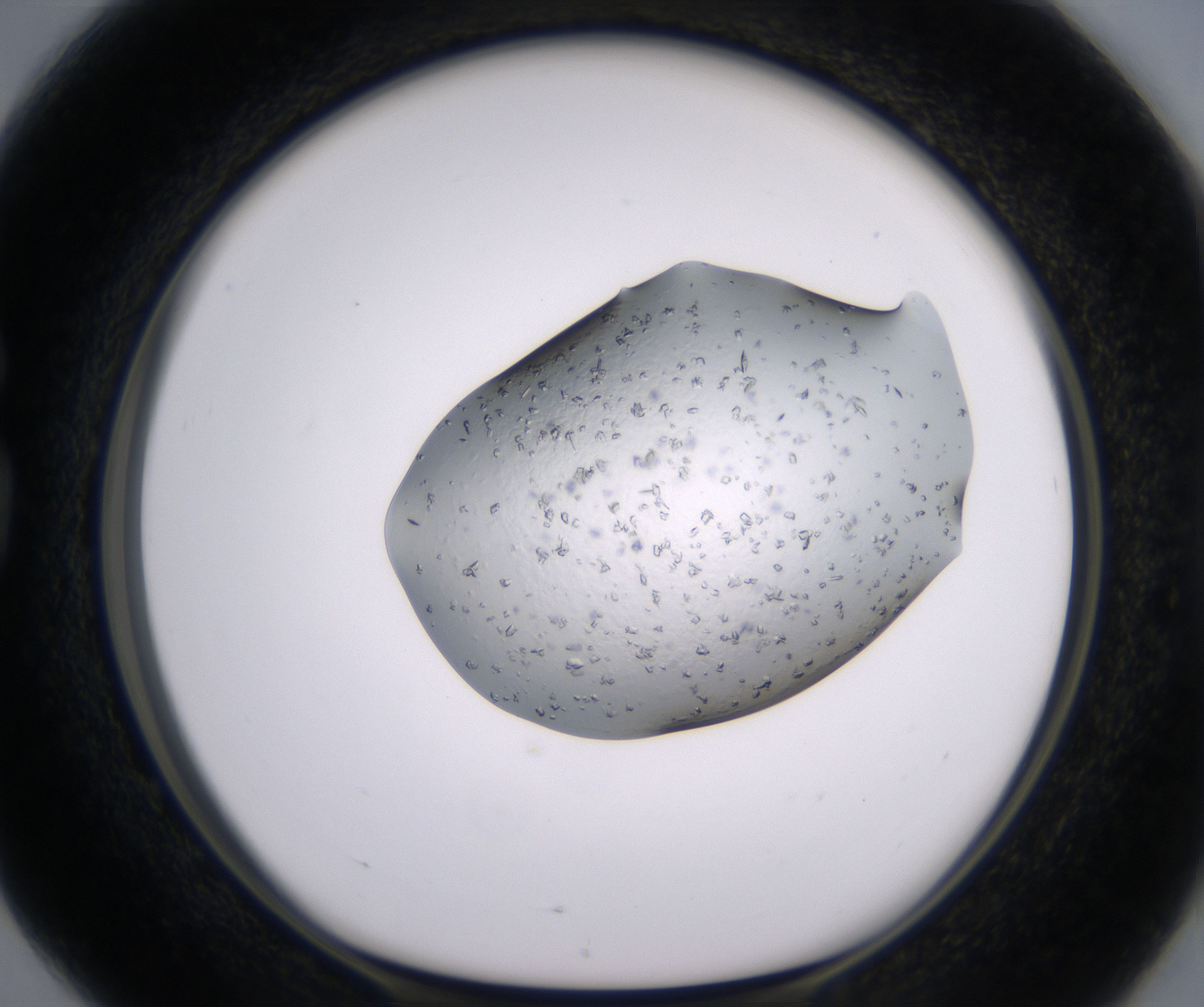 G4_HighResolution_Crystal_1.jpg