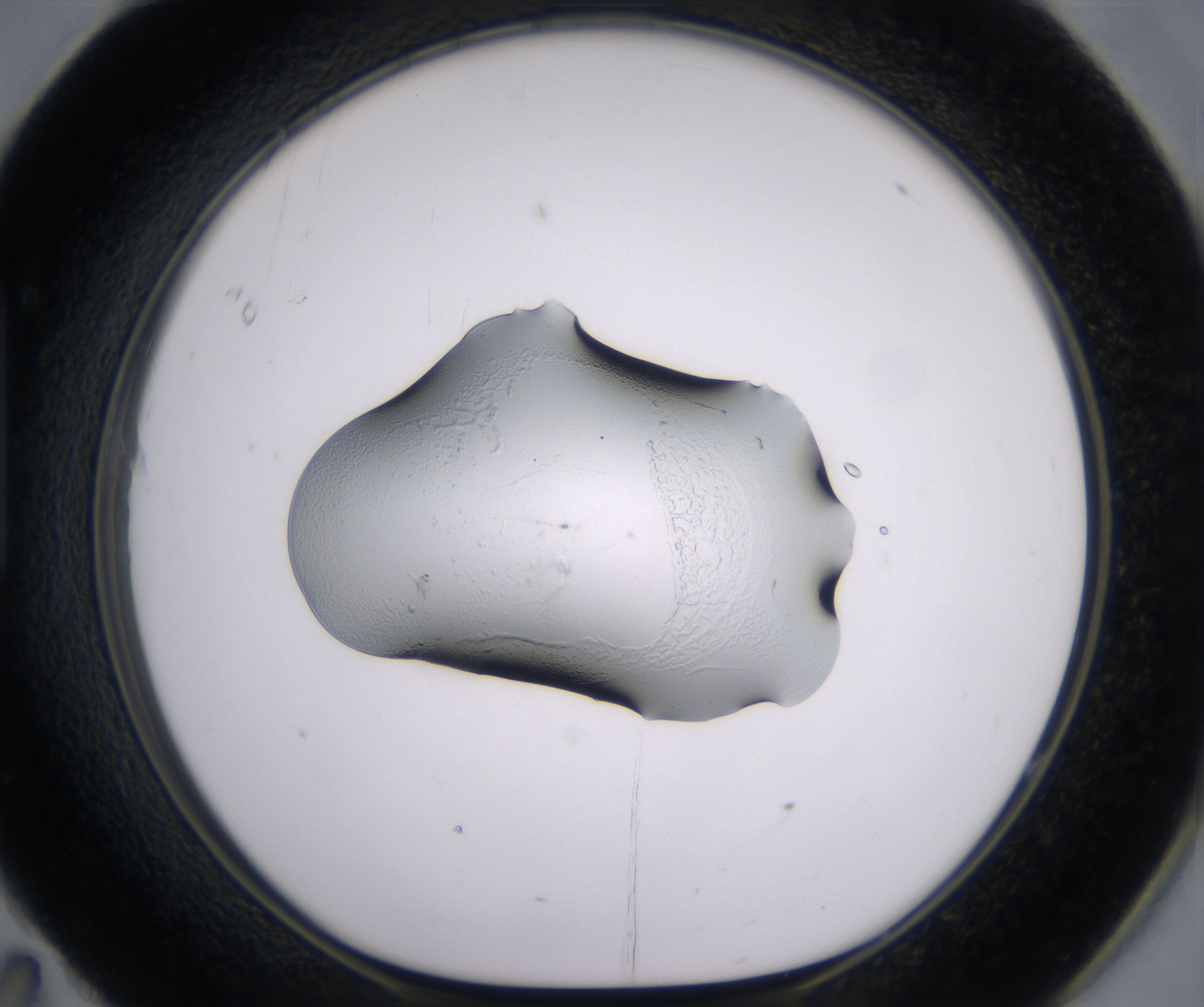 H11_HighResolution_Clear_1.jpg