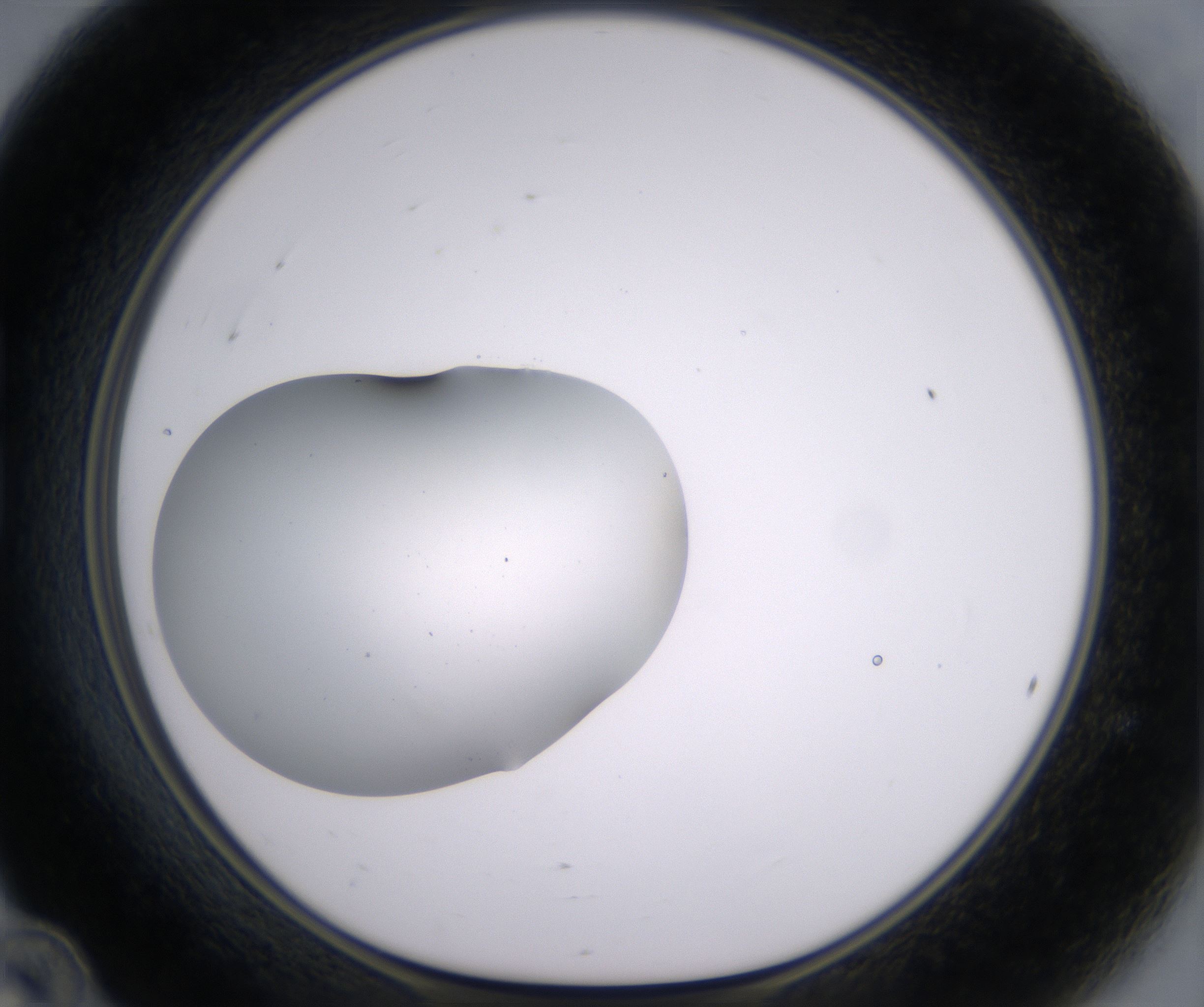 B12_HighResolution_Clear_1.jpg