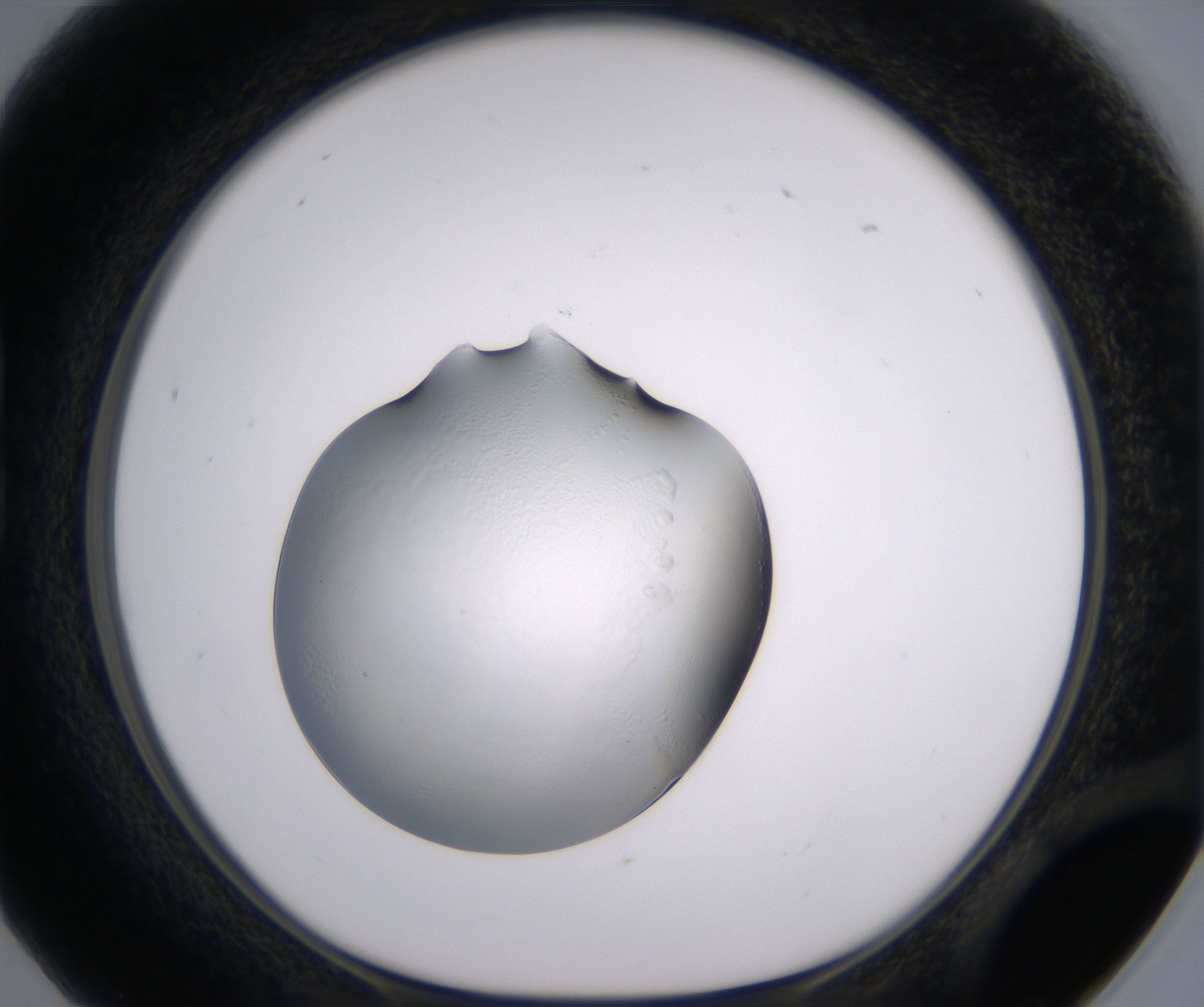 B5_HighResolution_Clear_1.jpg