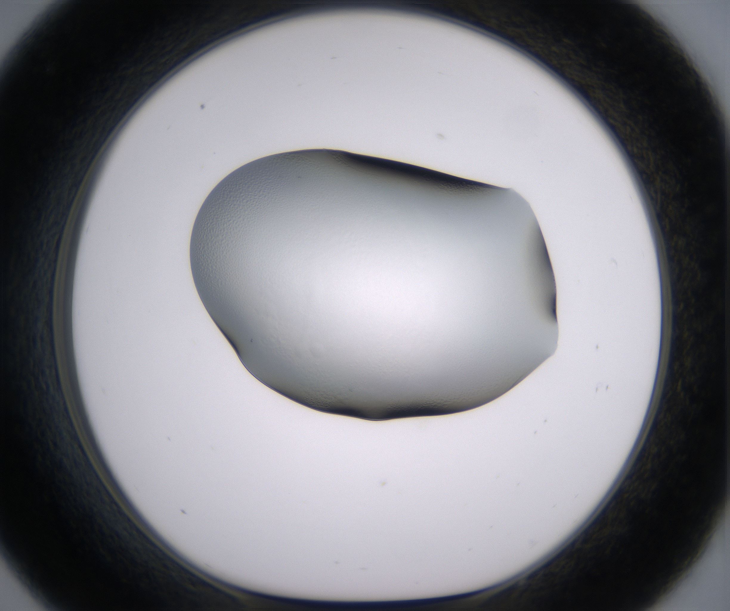 C9_HighResolution_Clear_1.jpg