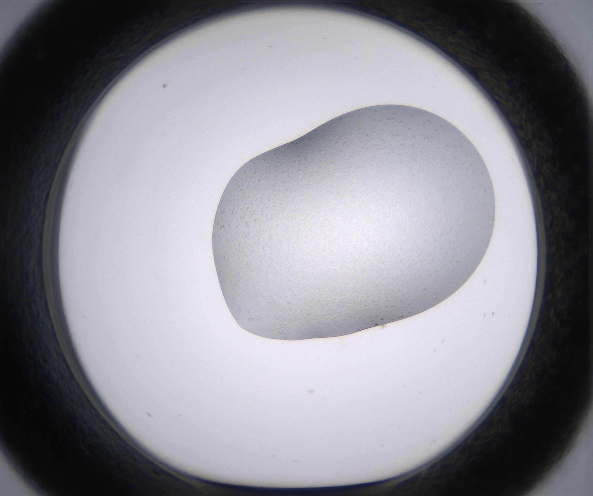 C9_HighResolution_Clear_1.jpg