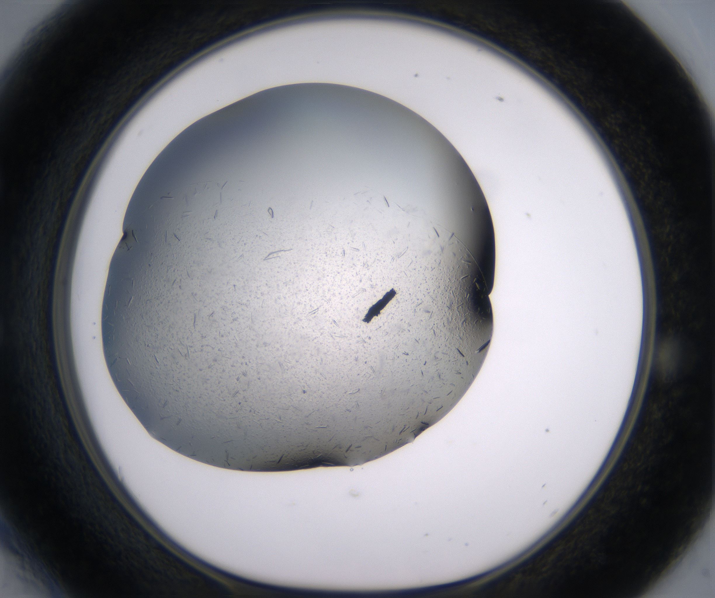 E6_HighResolution_Crystal_1.jpg