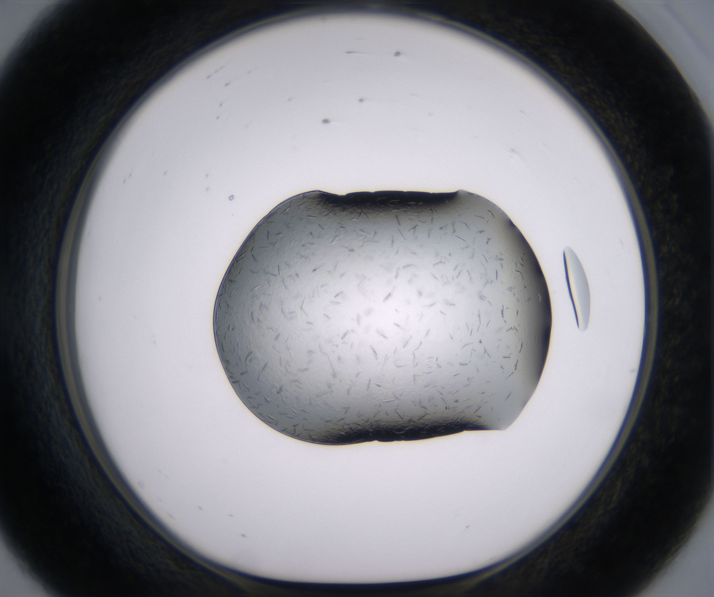 E8_HighResolution_Crystal_1.jpg
