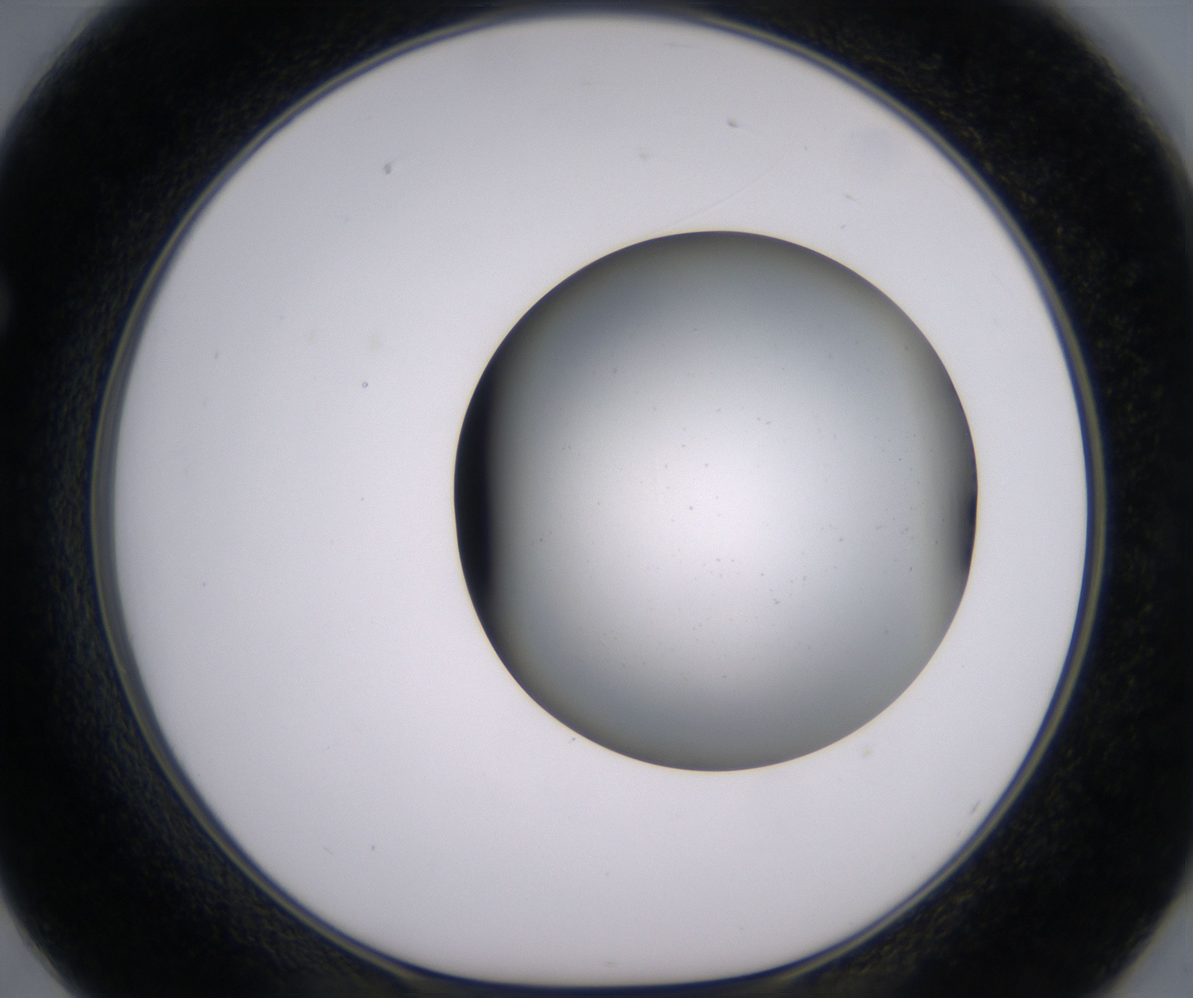 F2_HighResolution_Clear_1.jpg