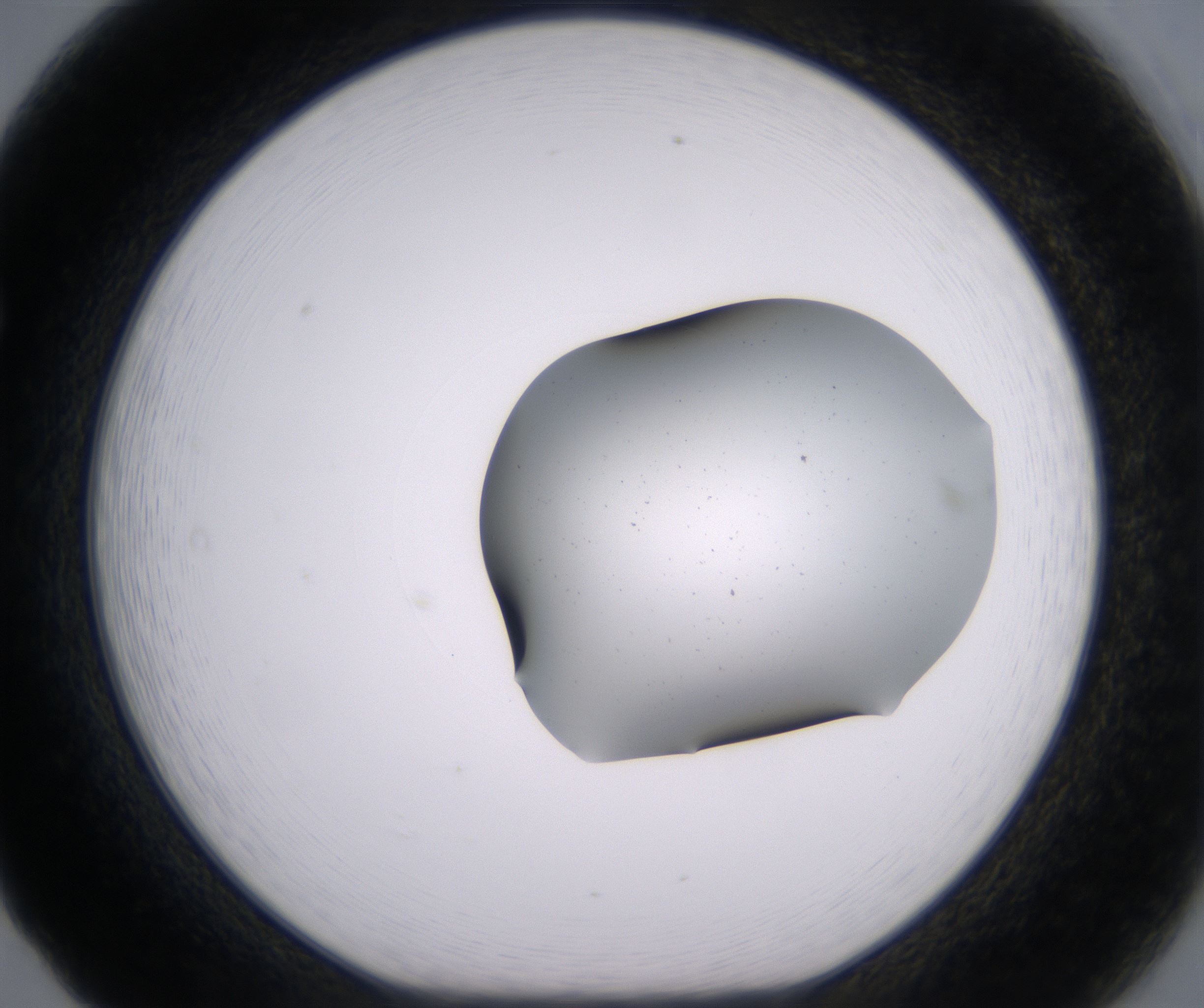 F5_HighResolution_Clear_1.jpg