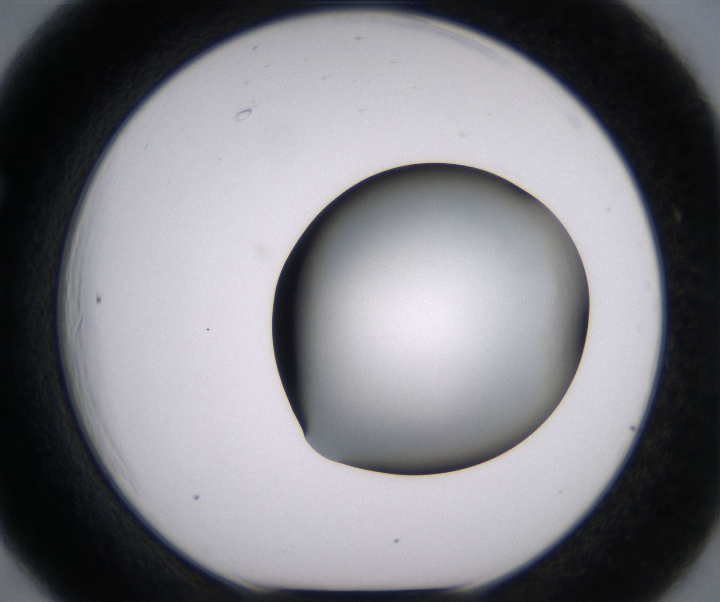 F6_HighResolution_Clear_1.jpg
