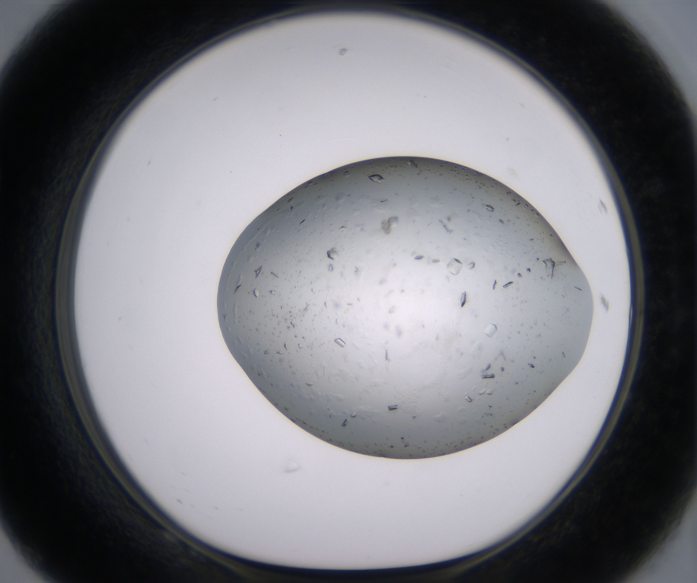 F8_HighResolution_Crystal_1.jpg