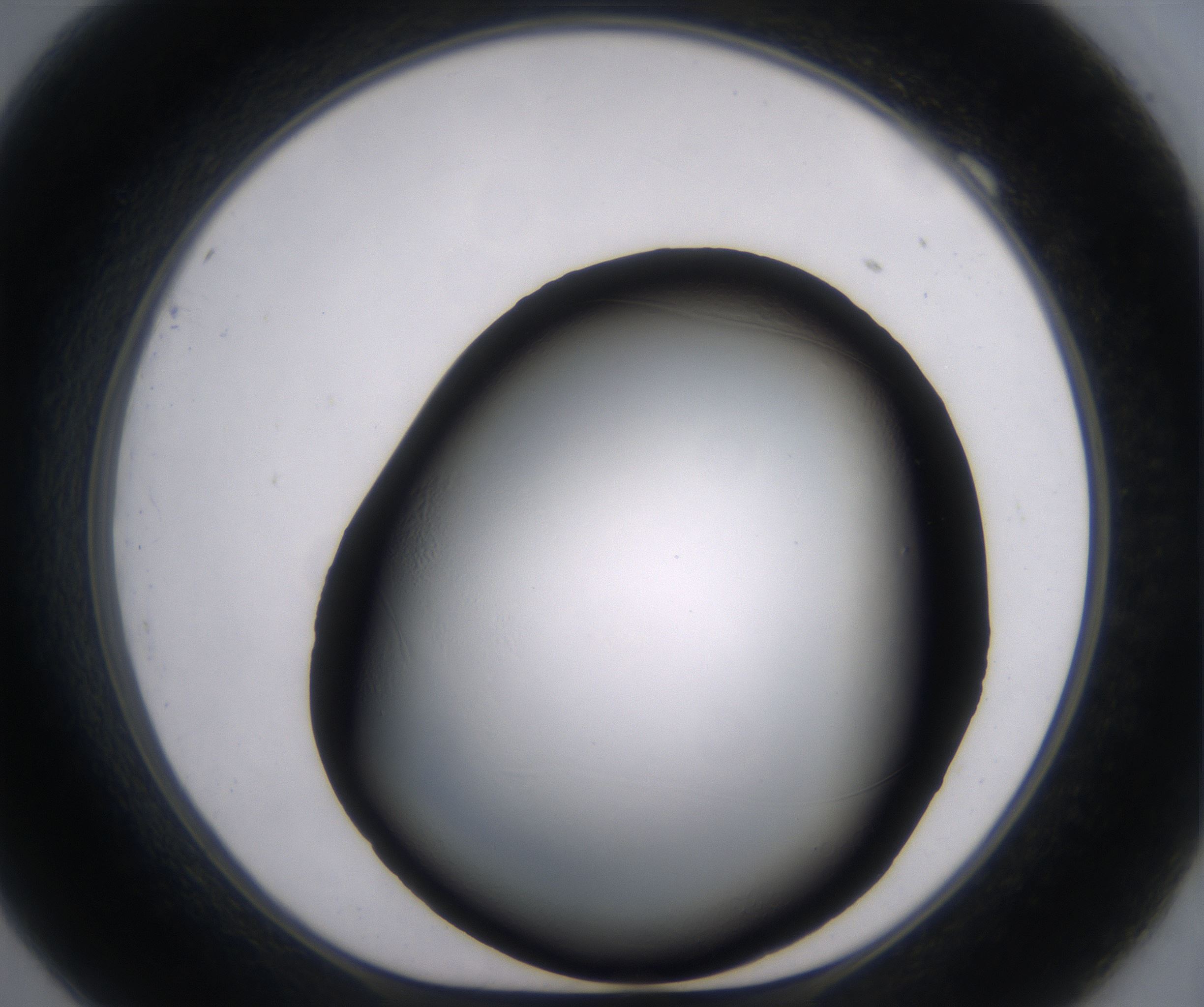 F9_HighResolution_Clear_1.jpg
