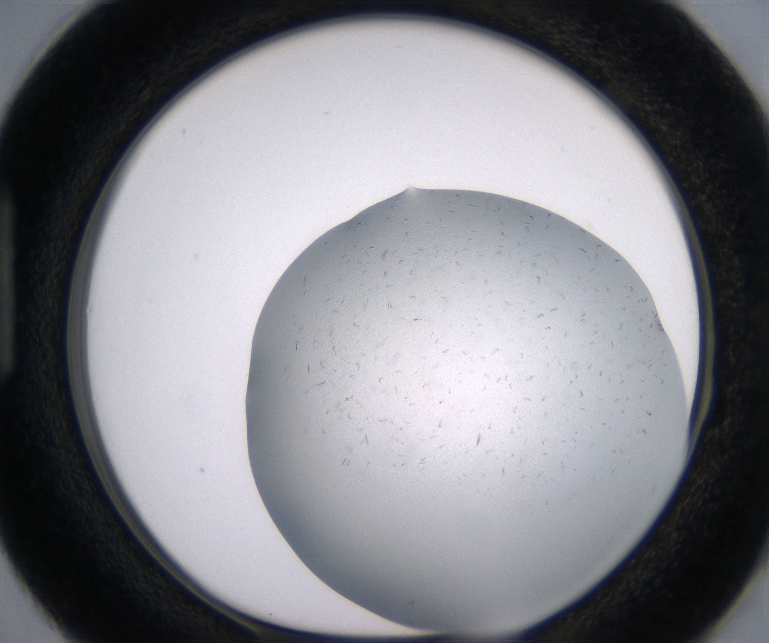 H3_HighResolution_Crystal_1.jpg