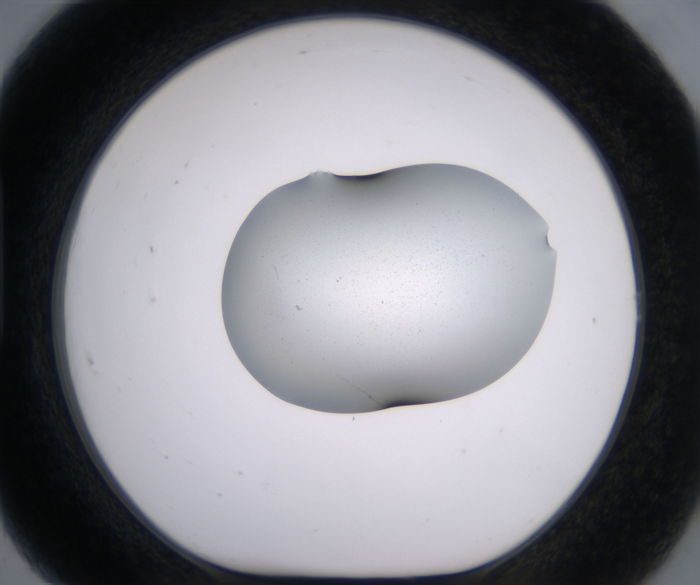 H7_HighResolution_Clear_1.jpg