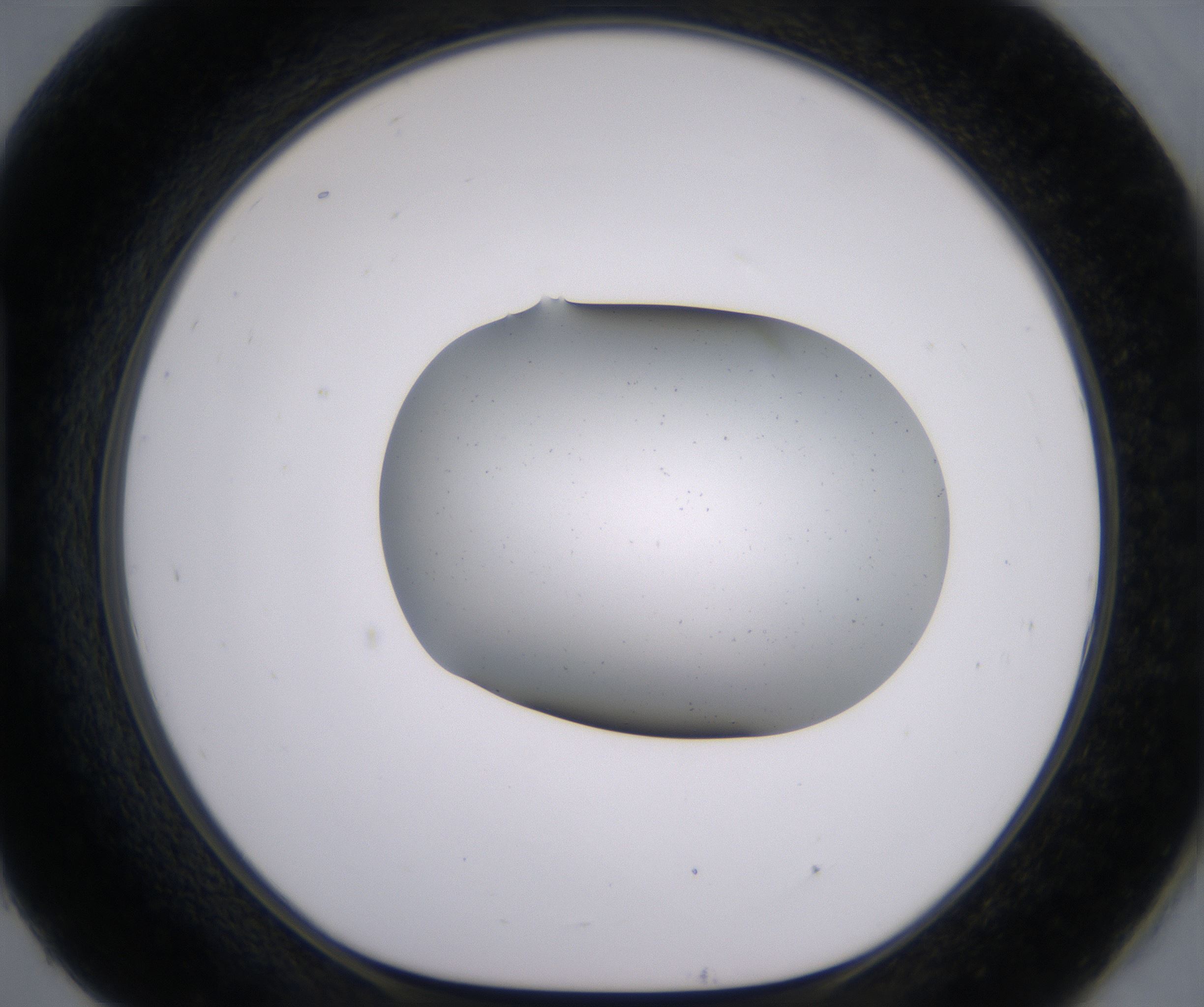 H9_HighResolution_Clear_1.jpg