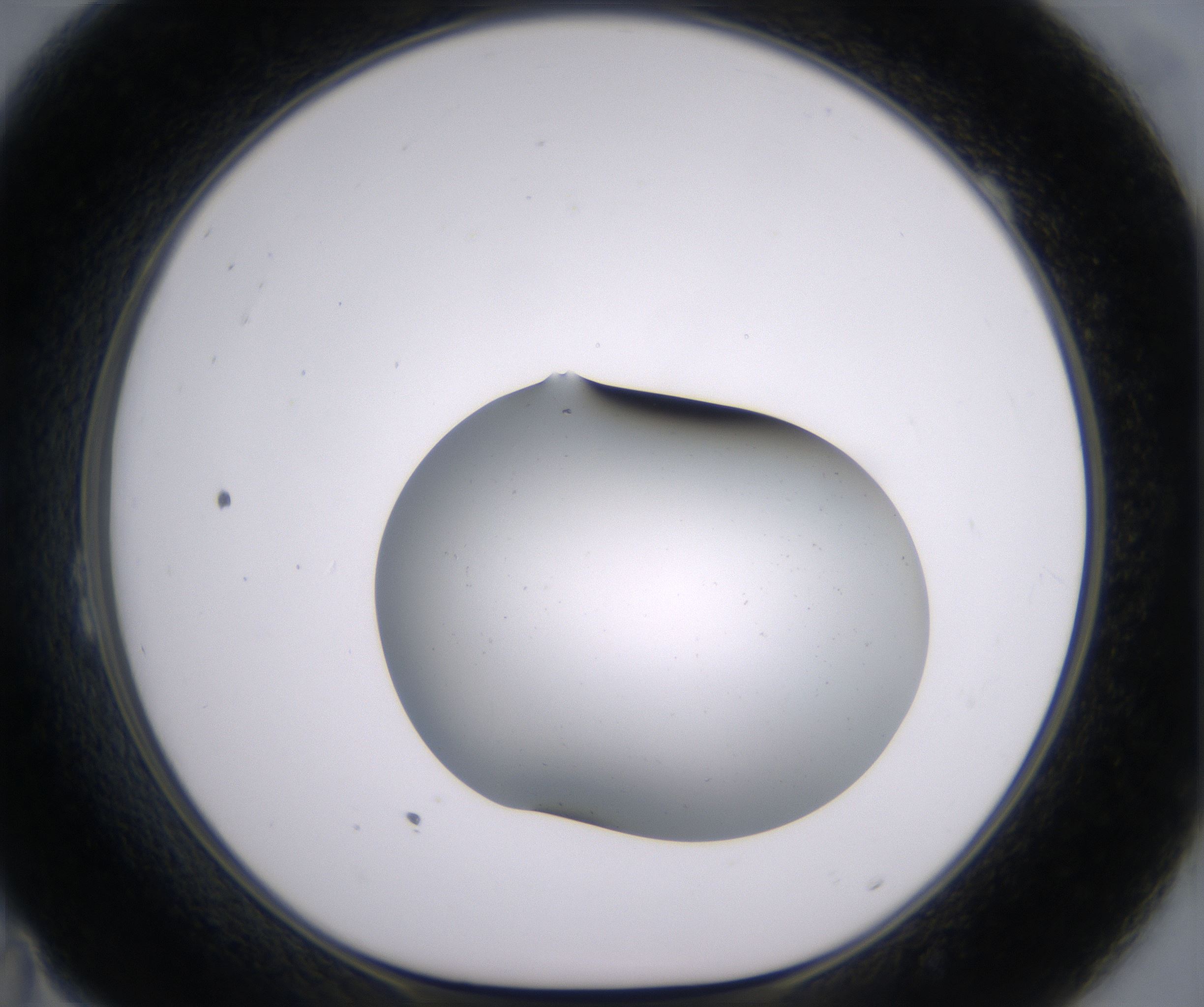 B11_HighResolution_Clear_1.jpg