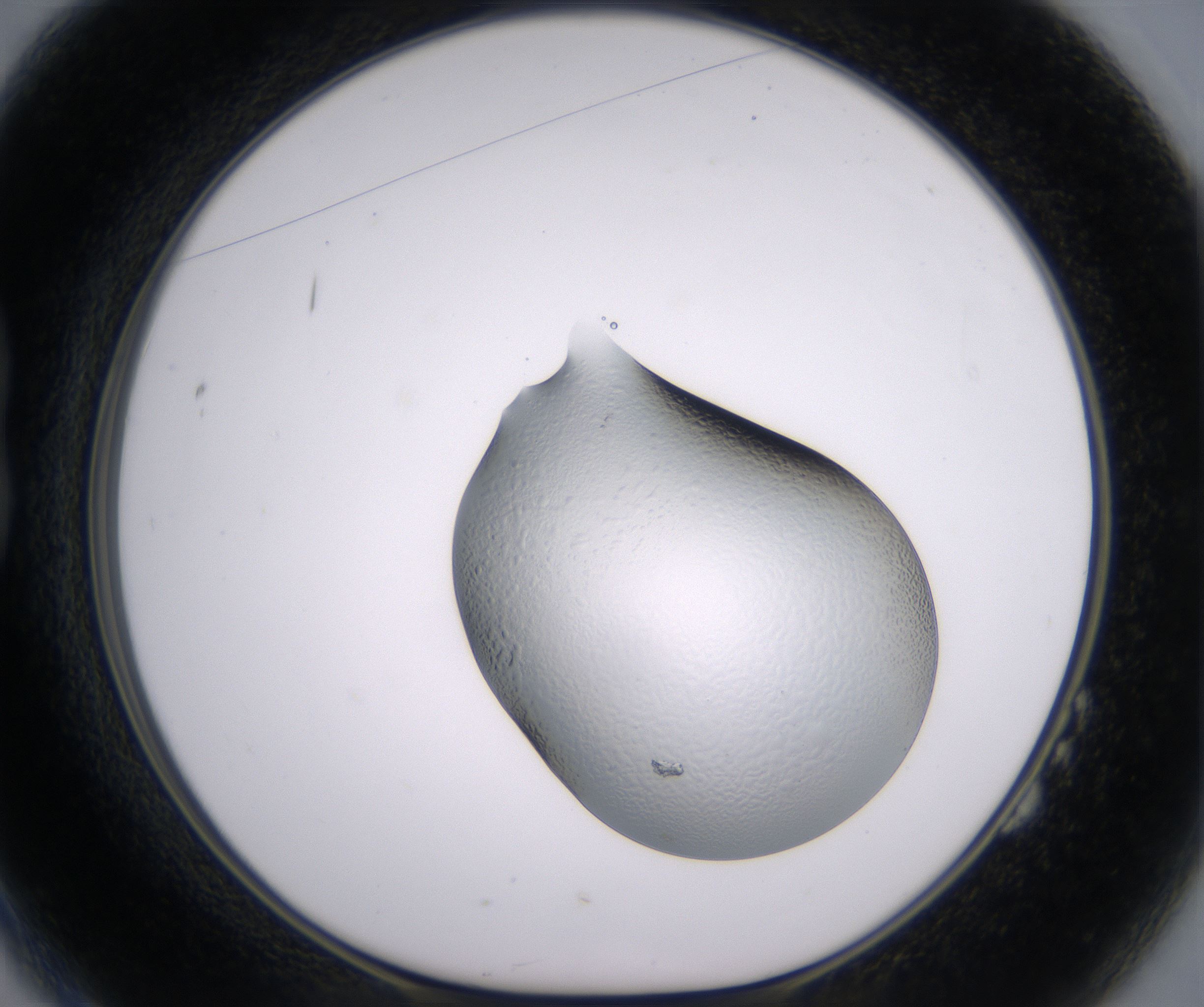 B2_HighResolution_Clear_1.jpg
