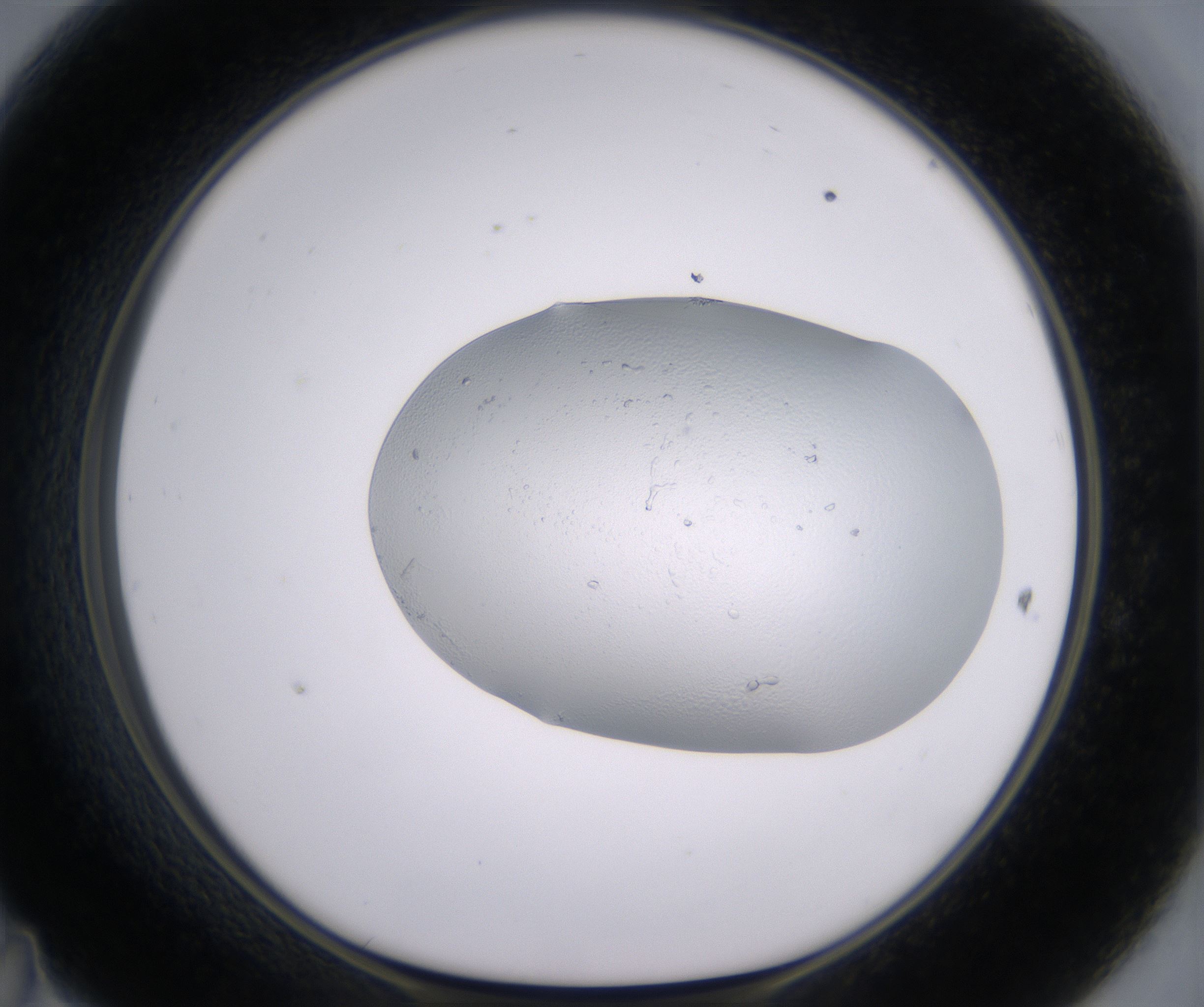D11_HighResolution_Clear_1.jpg