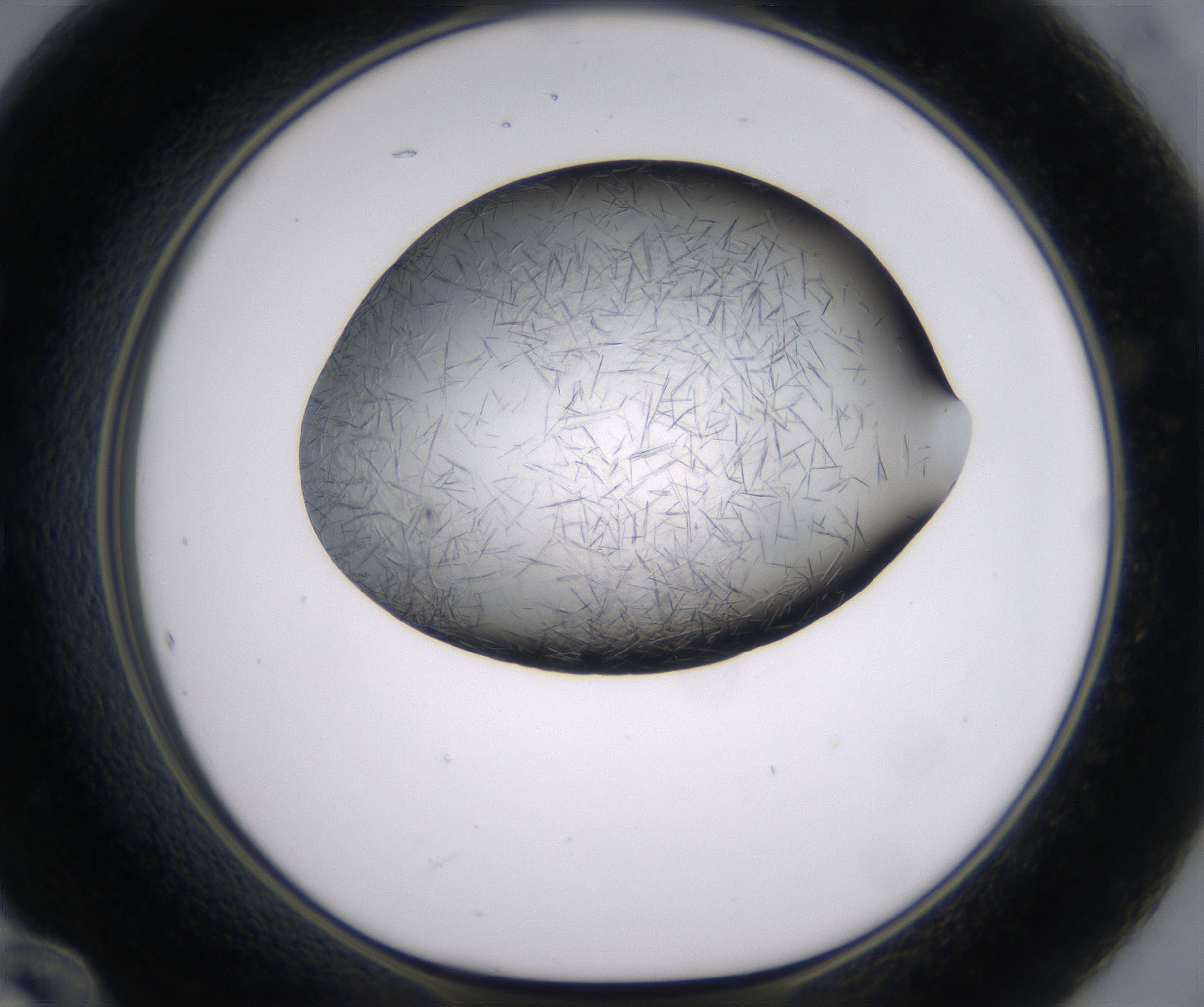 E12_HighResolution_Crystal_1.jpg