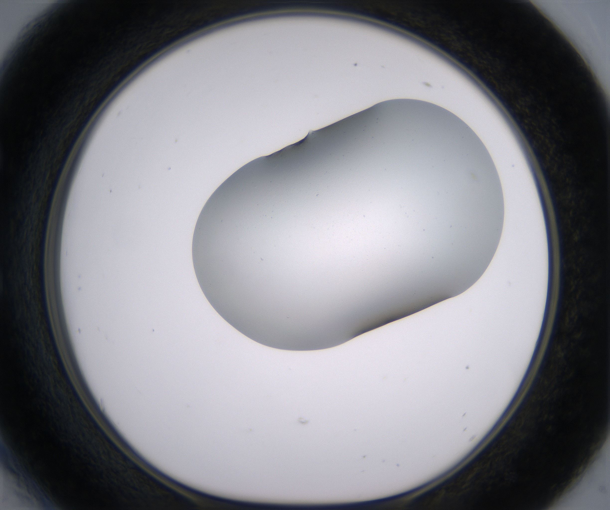 E6_HighResolution_Clear_1.jpg