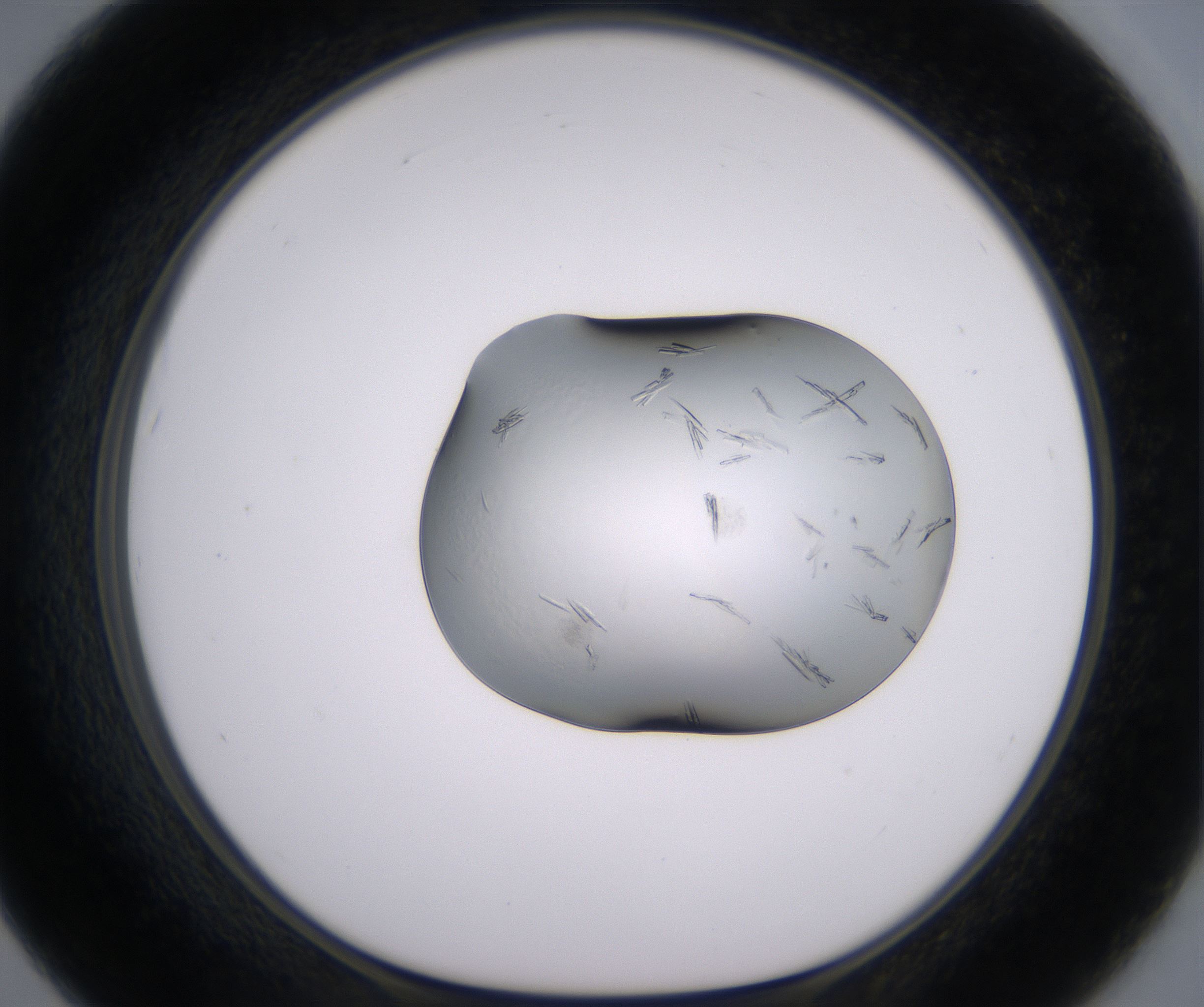F7_HighResolution_Crystal_1.jpg