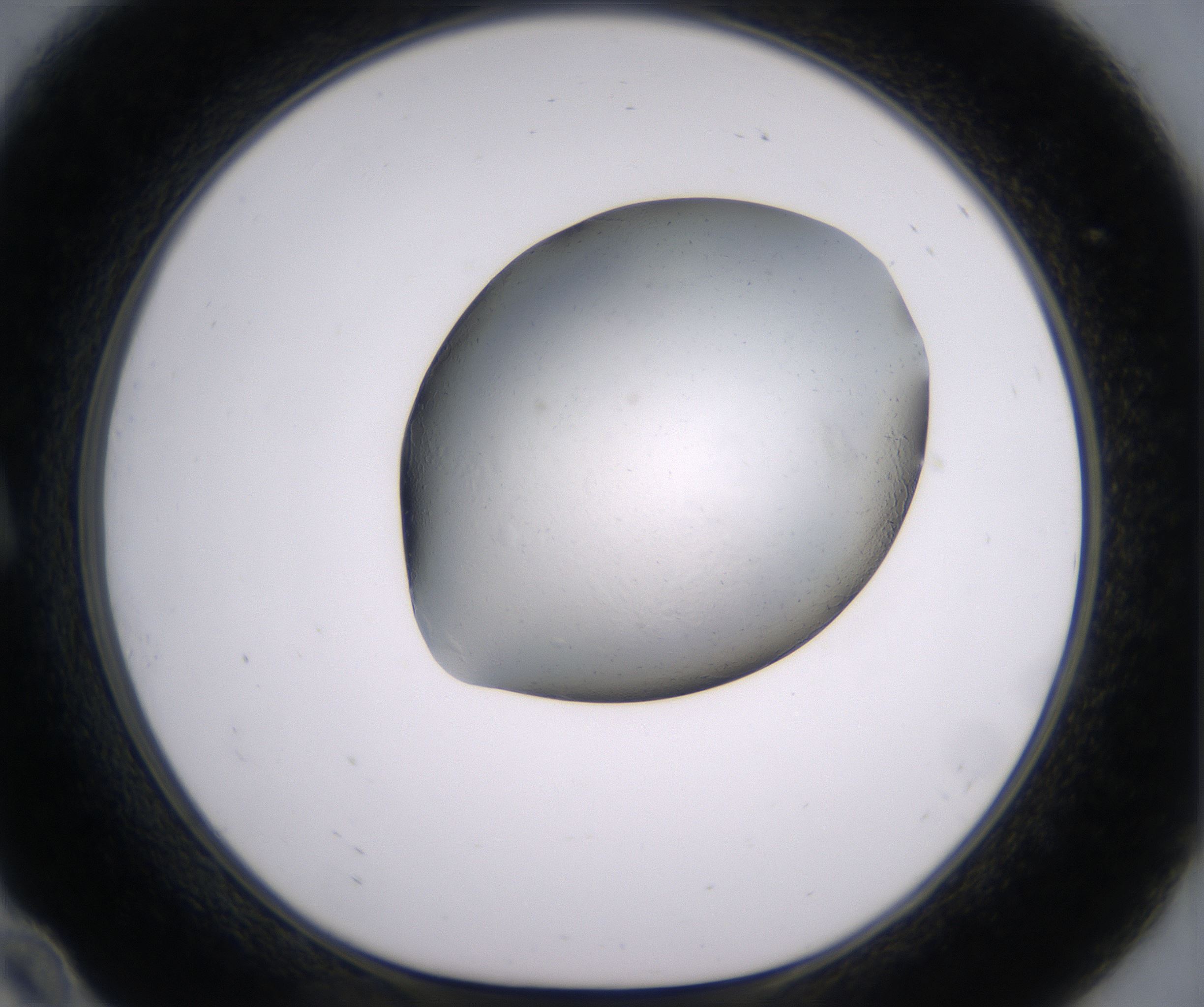 A10_HighResolution_Clear_1.jpg