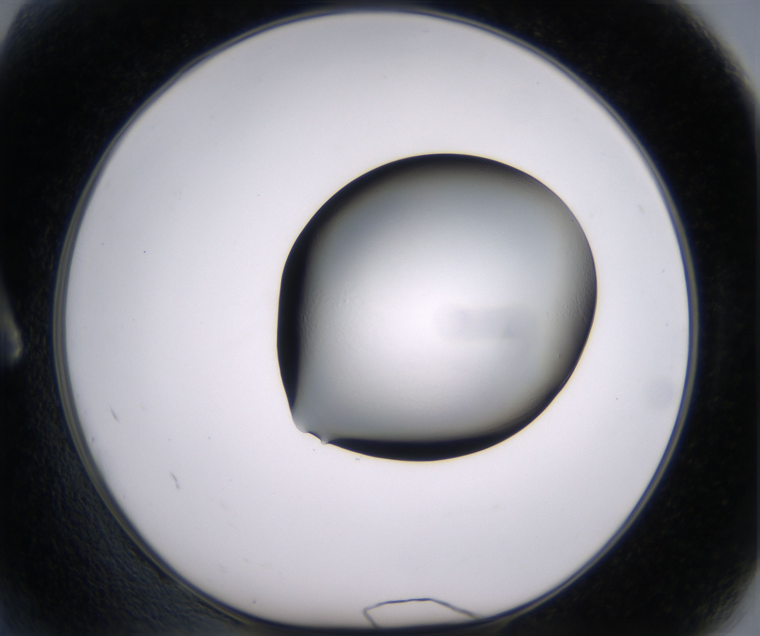 A2_HighResolution_Clear_1.jpg