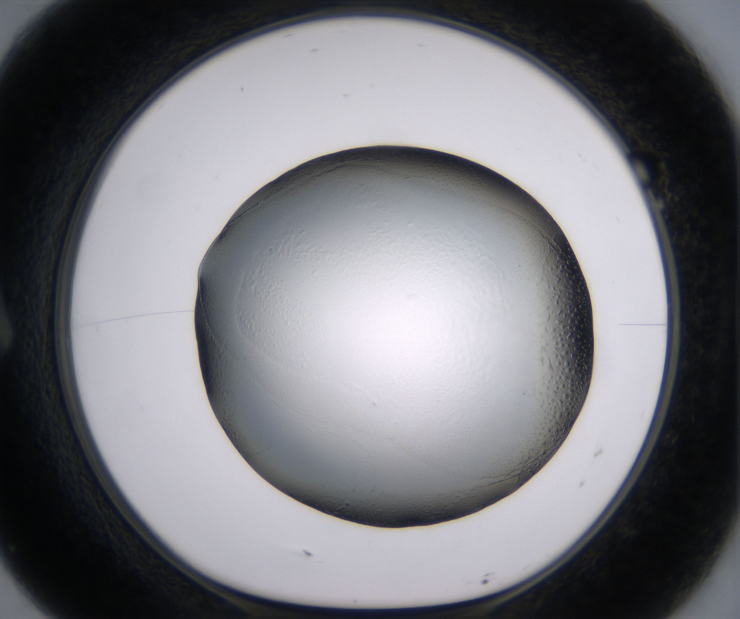 A7_HighResolution_Clear_1.jpg