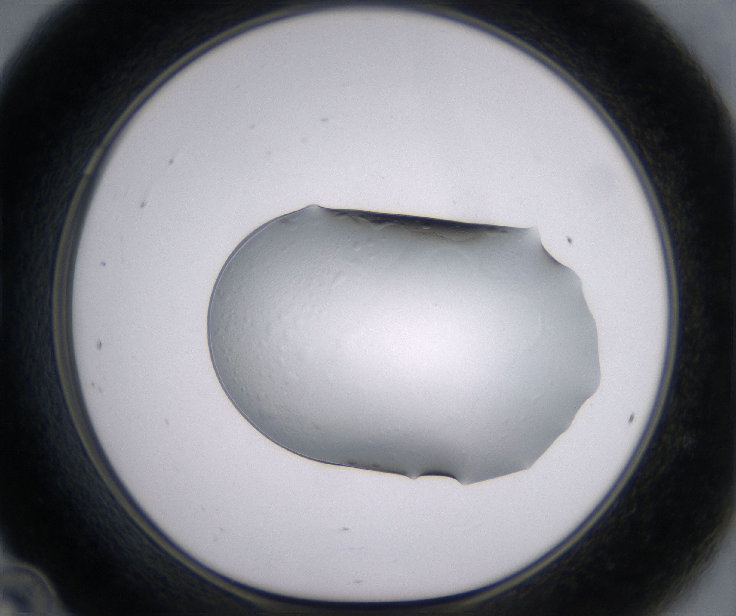 B12_HighResolution_Clear_1.jpg