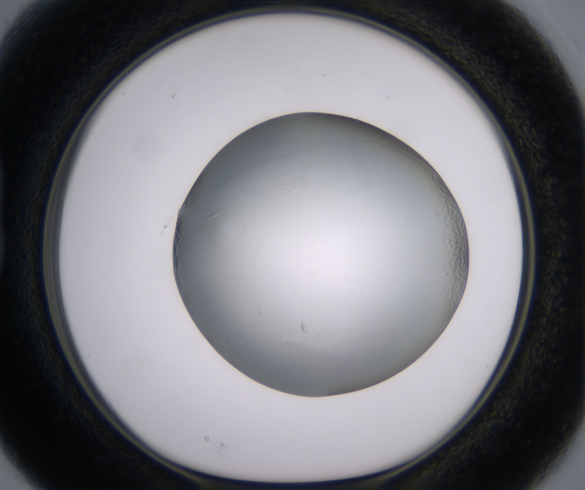 B3_HighResolution_Clear_1.jpg