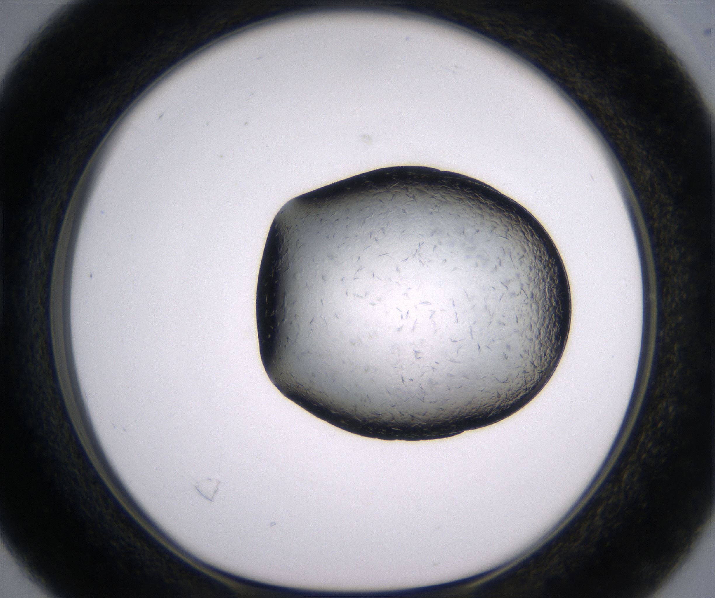 B4_HighResolution_Crystal_1.jpg