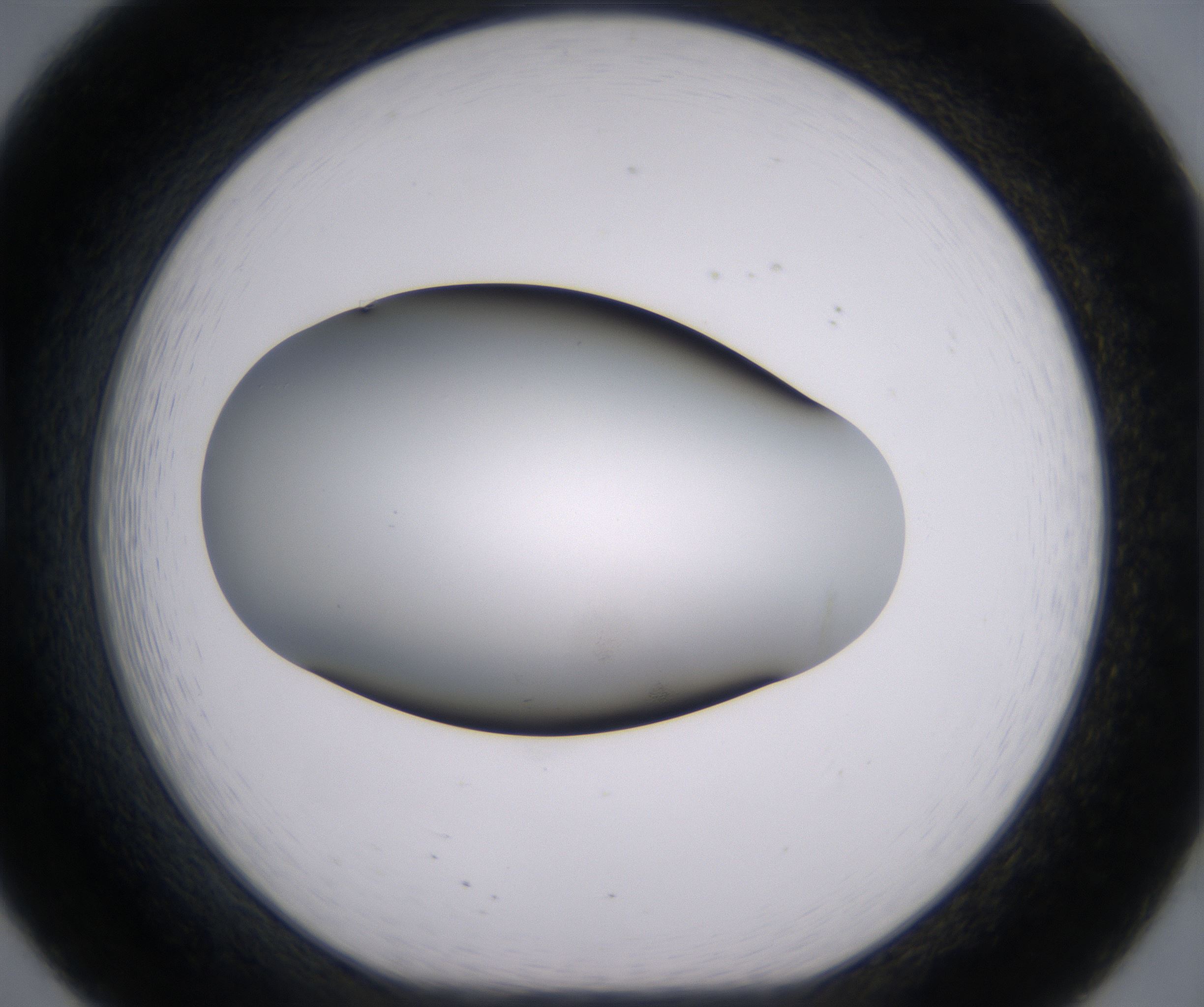 B8_HighResolution_Clear_1.jpg