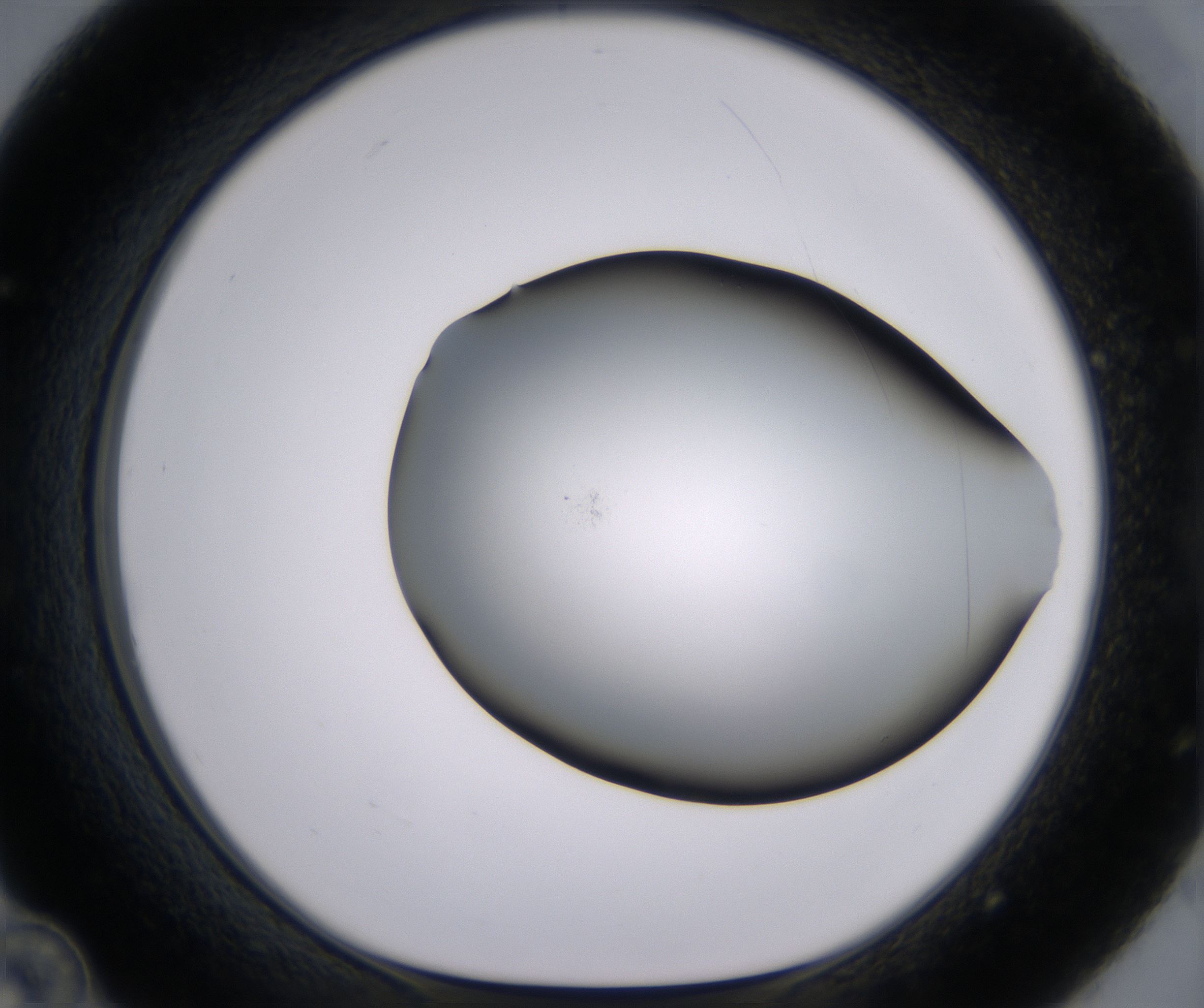 C12_HighResolution_Clear_1.jpg